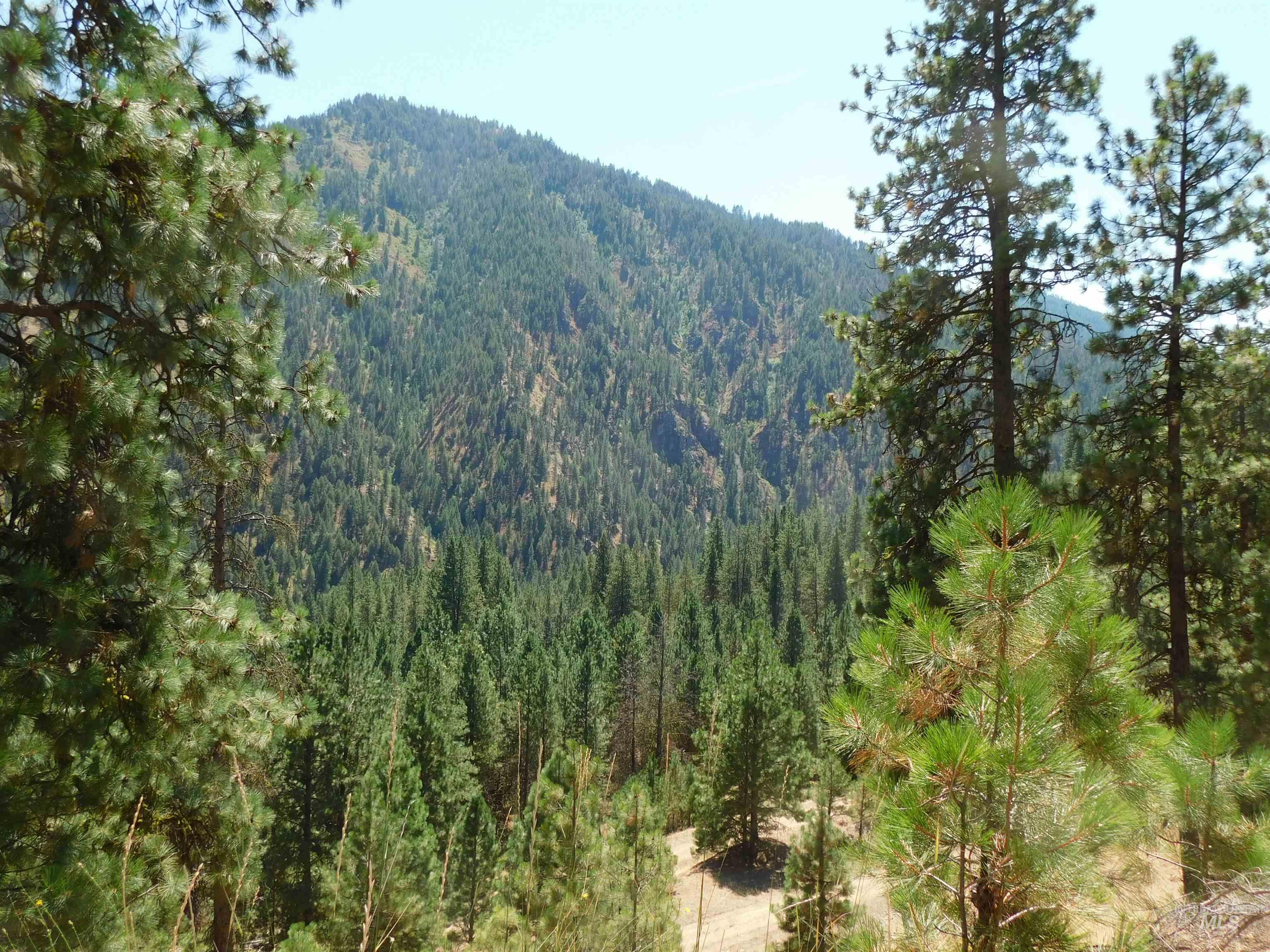 View of mountain backdrop featuring a heavily wooded area