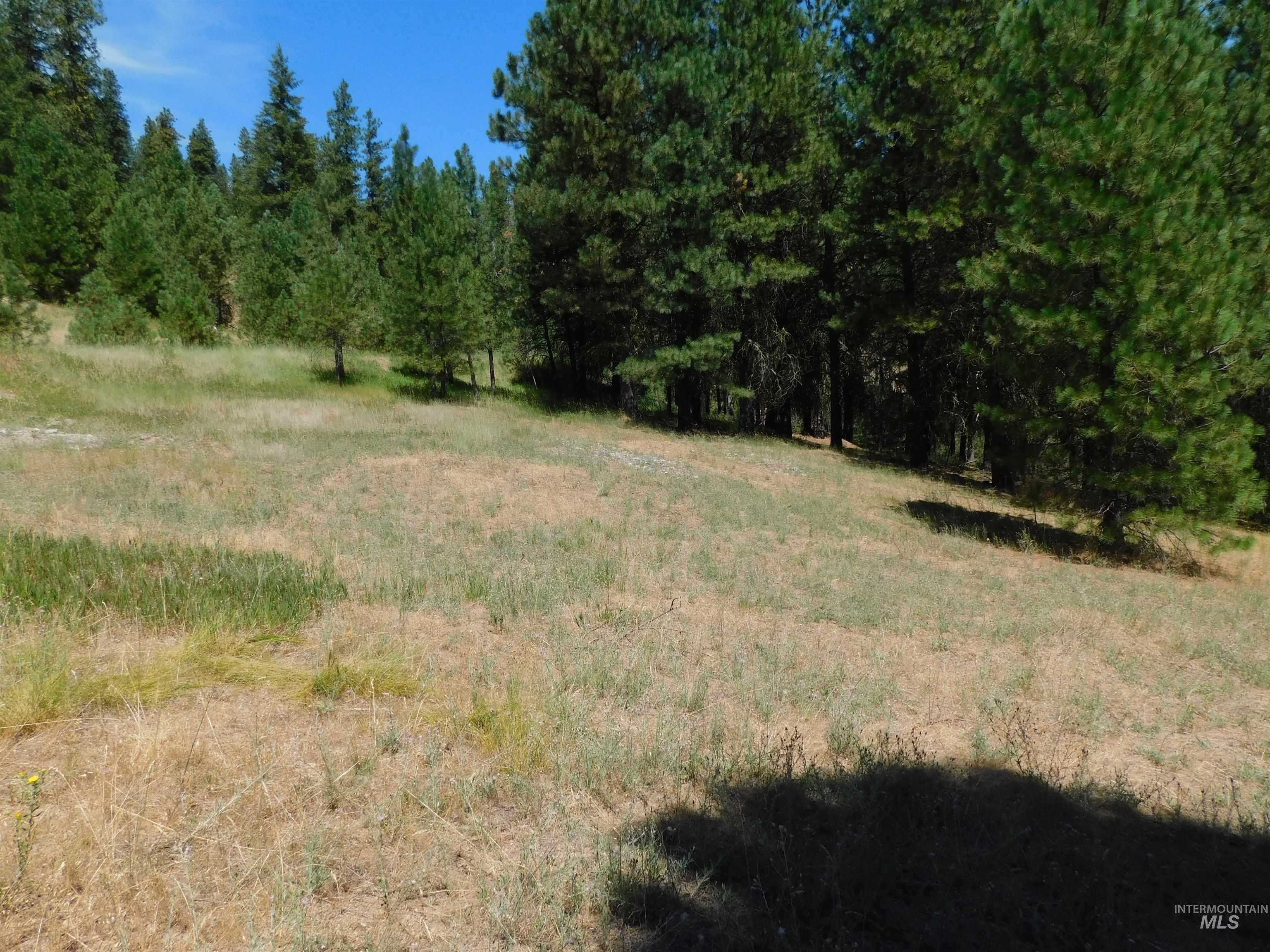 View of yard featuring a view of trees