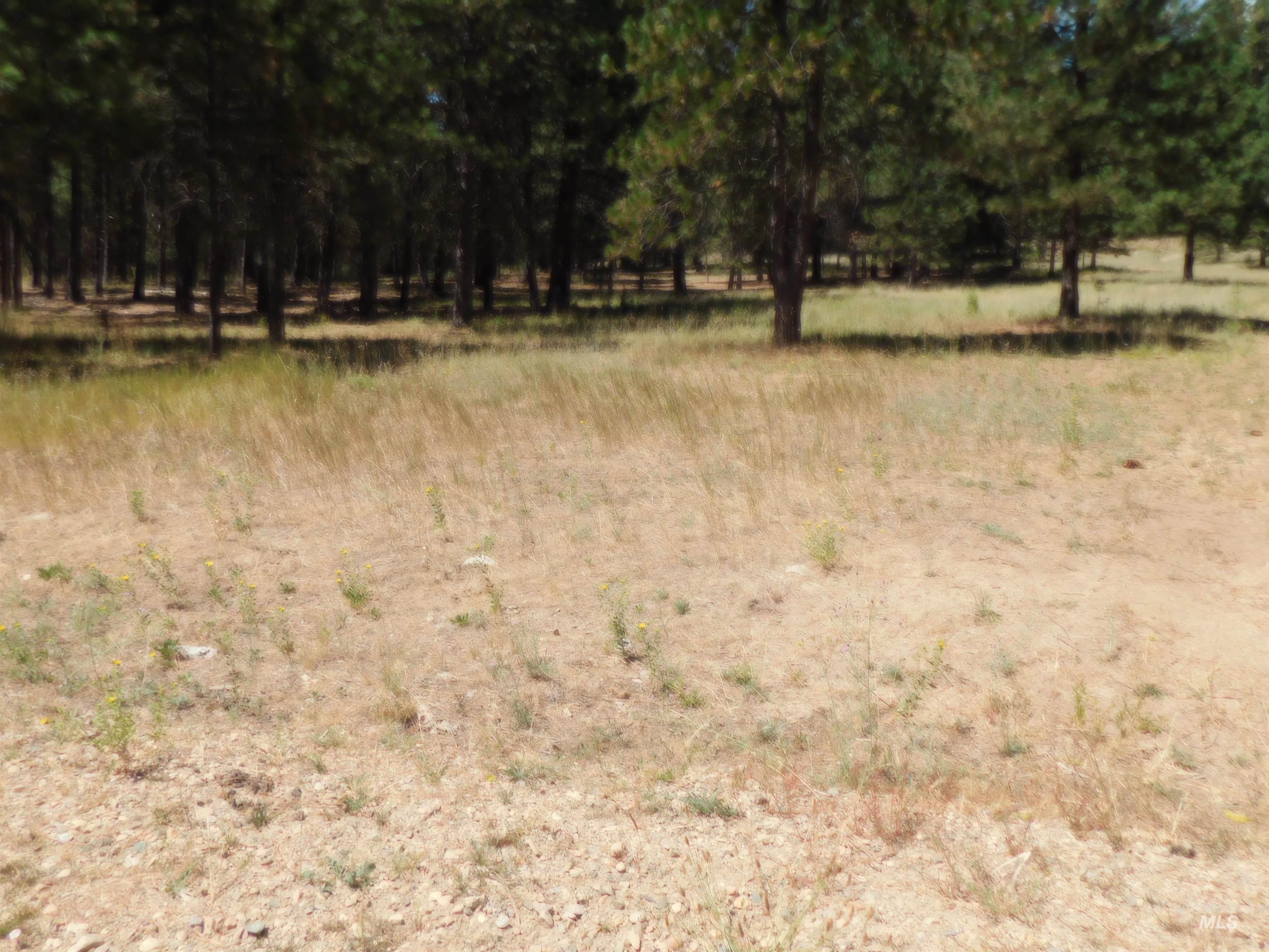 View of undeveloped land with rural landscape