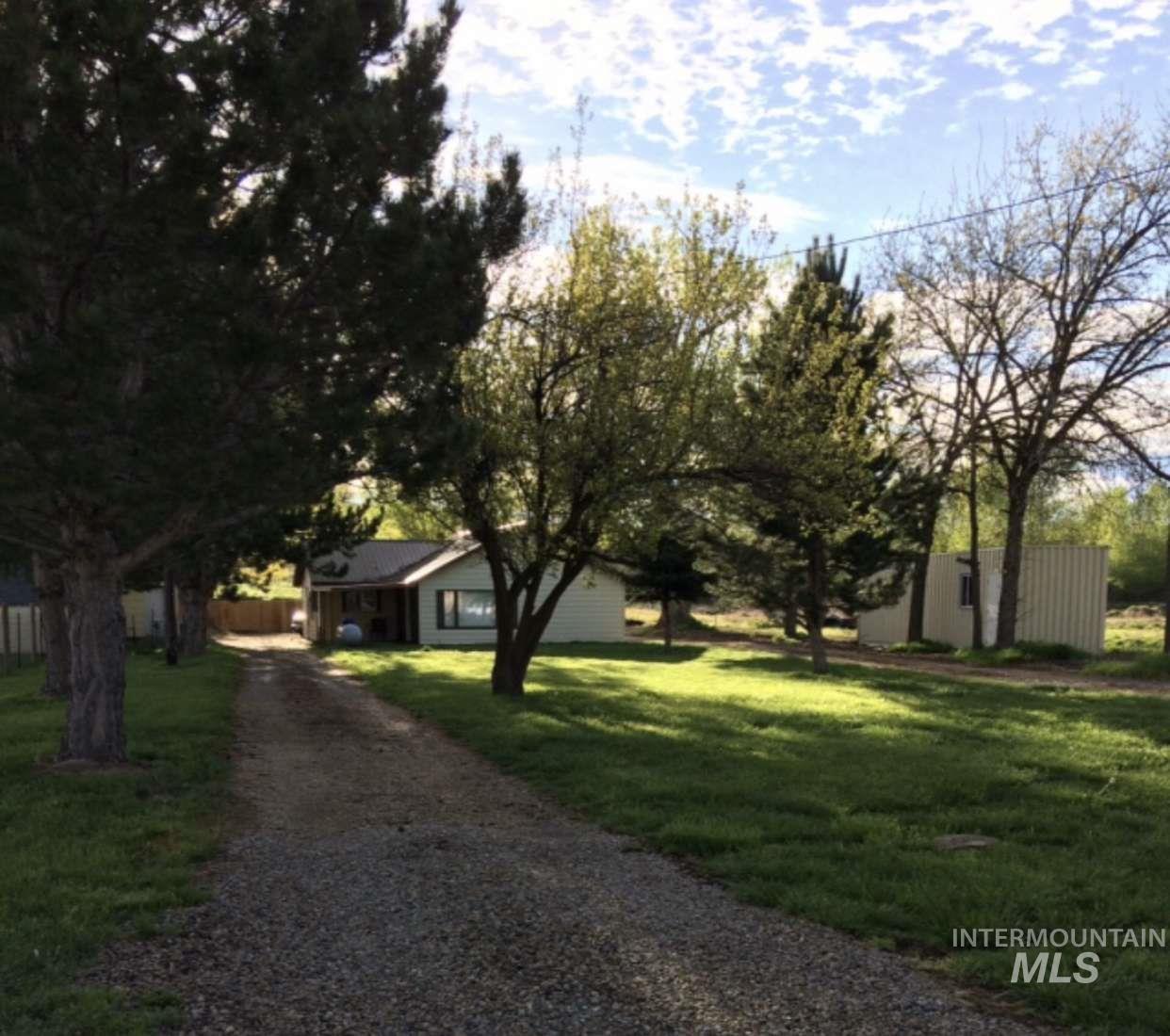View of dirt / gravel driveway