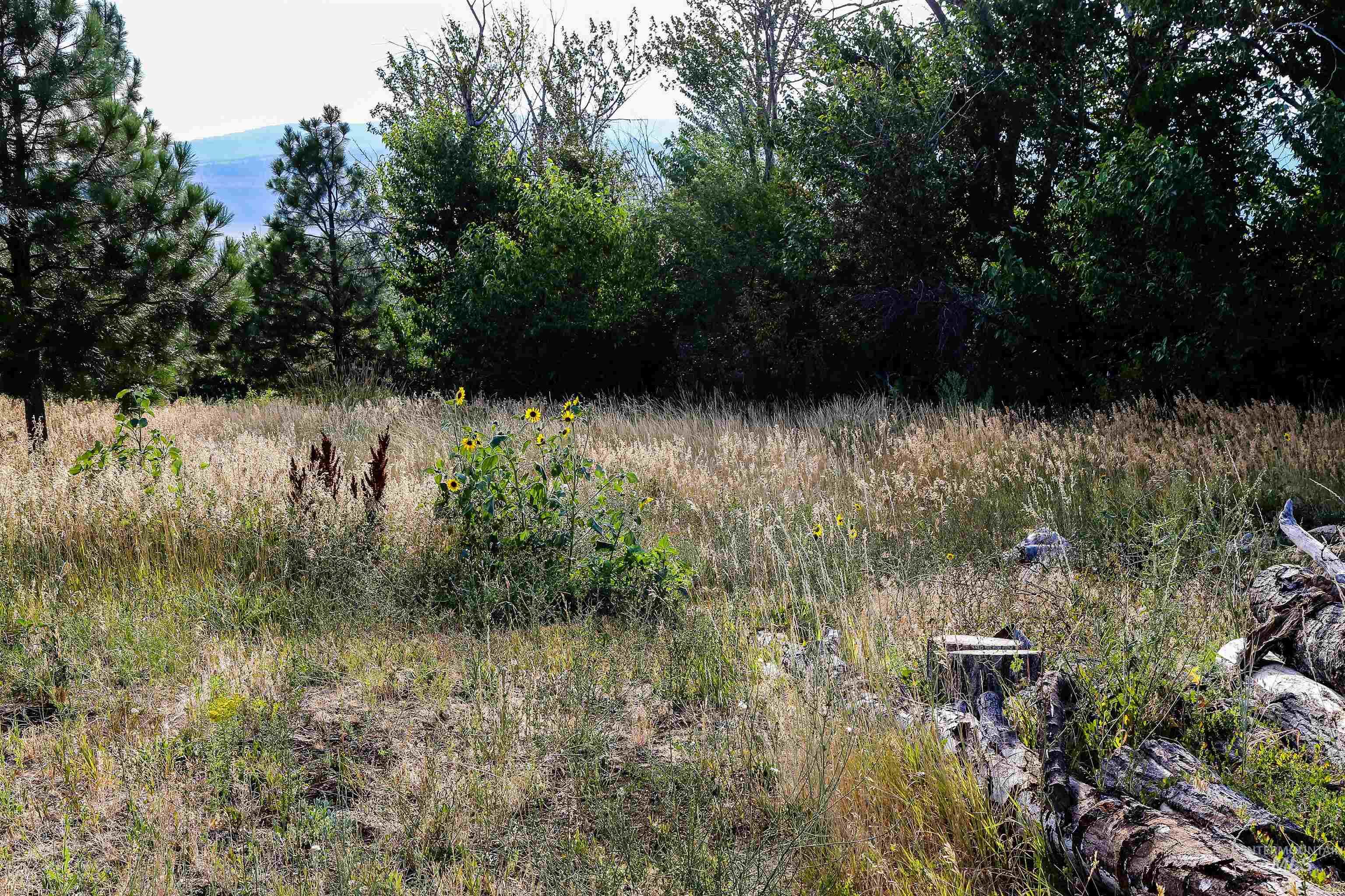 2060 Missman Road, Council, Idaho 83612, 4 Bedrooms, 3 Bathrooms, Residential For Sale, Price $750,000, 98957865