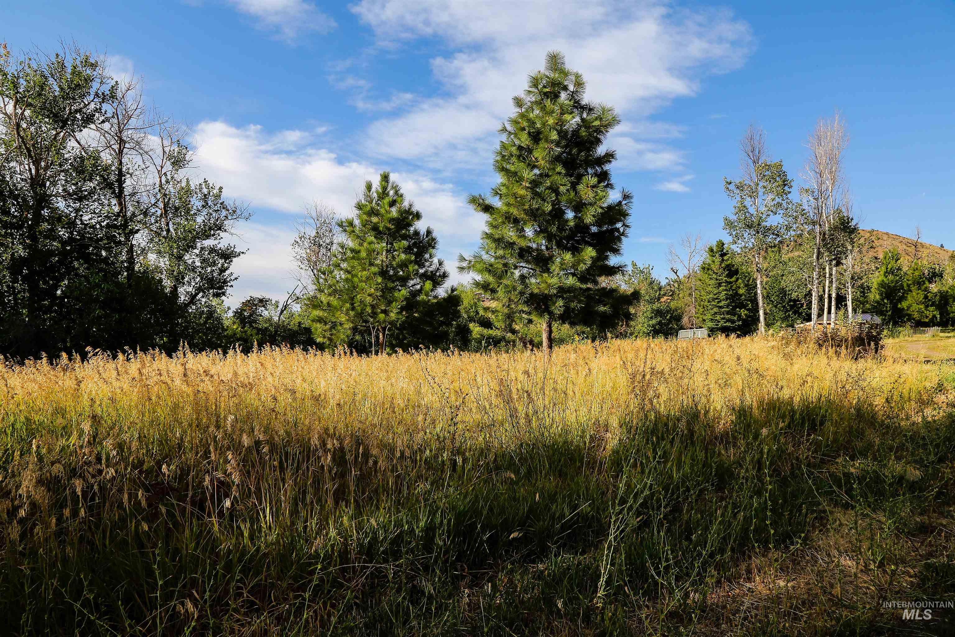 2060 Missman Road, Council, Idaho 83612, 4 Bedrooms, 3 Bathrooms, Residential For Sale, Price $750,000, 98957865