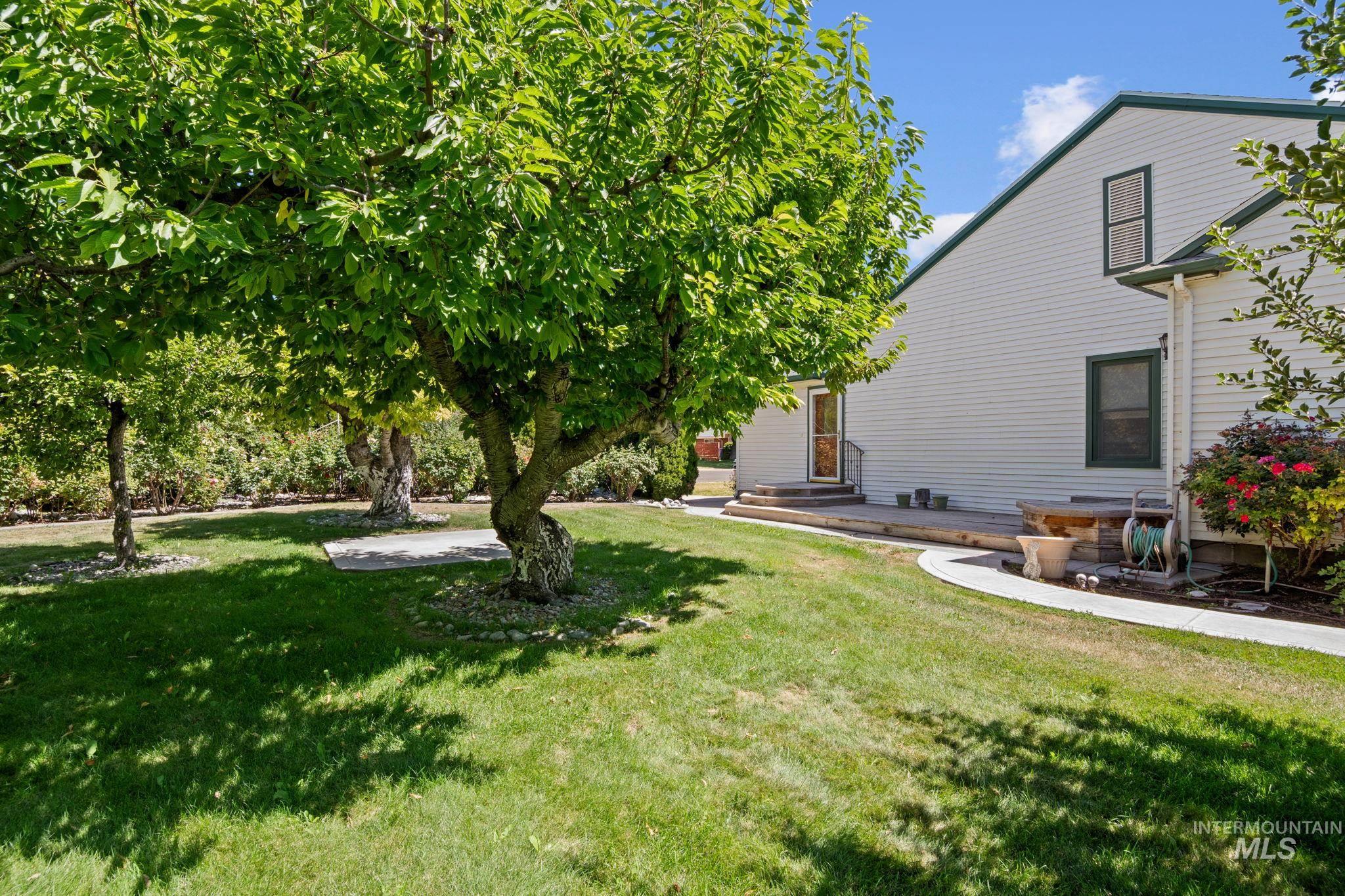 View of grassy yard with a patio
