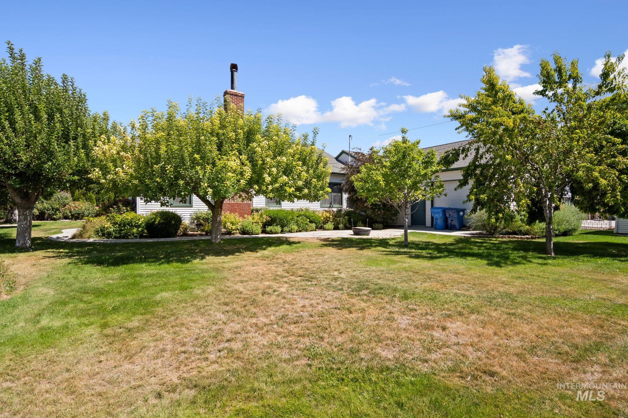 View of grassy yard