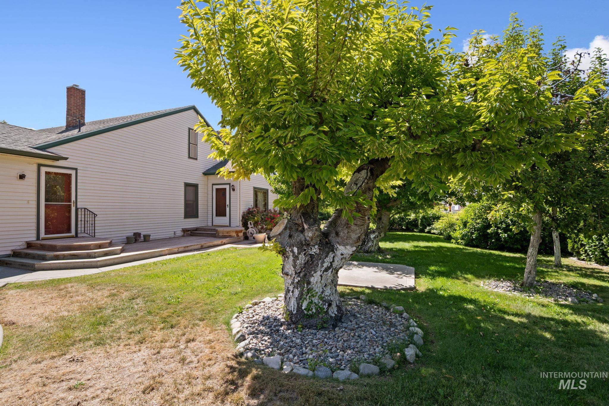 View of grassy yard