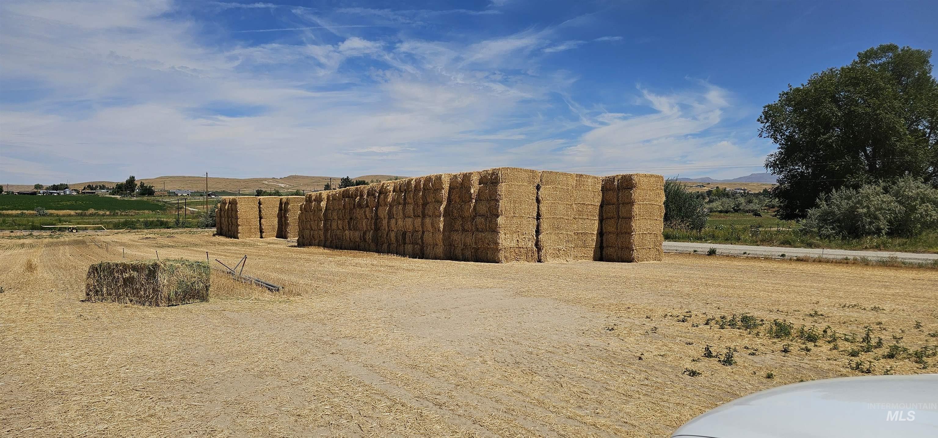 8100 Hillview RD, Emmett, Idaho 83617, 3 Bedrooms, 2 Bathrooms, Farm & Ranch For Sale, Price $1,499,000, 98957939