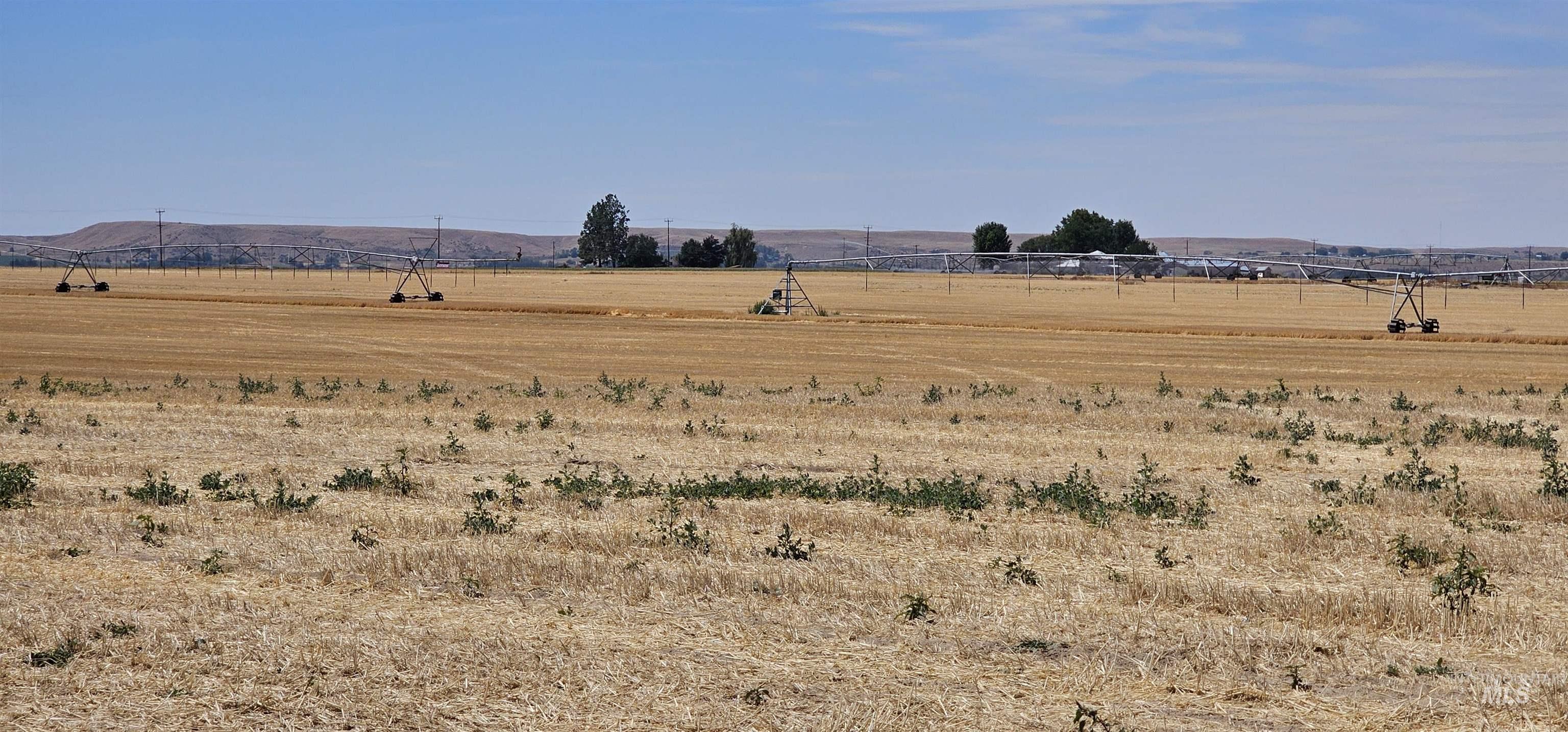 8100 Hillview RD, Emmett, Idaho 83617, 3 Bedrooms, 2 Bathrooms, Farm & Ranch For Sale, Price $1,499,000, 98957939