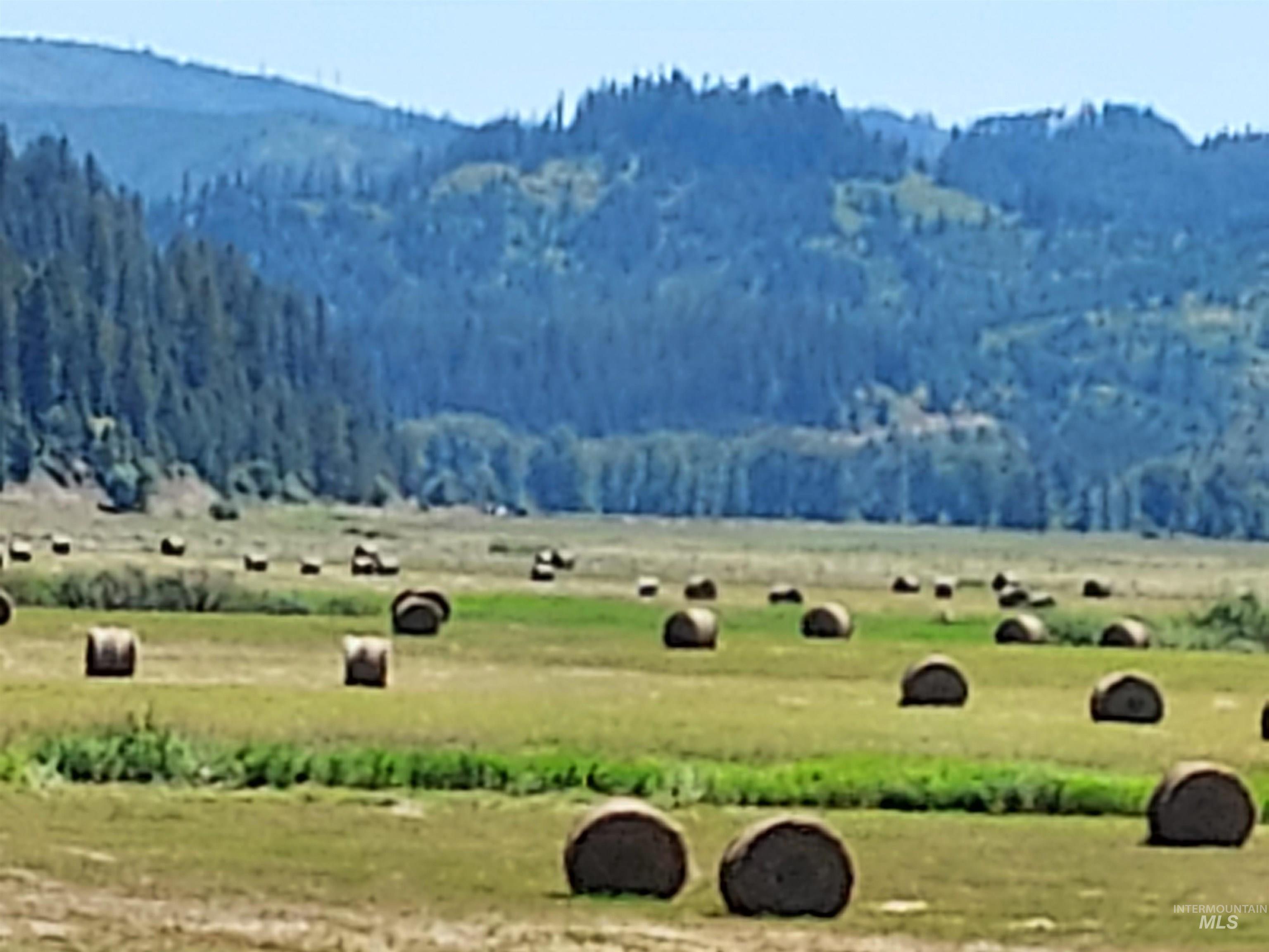 12412 ST JOE RIVER RD, St. Maries, Idaho 83861, 4 Bedrooms, 1 Bathroom, Farm & Ranch For Sale, Price $9,950,000, 98957998