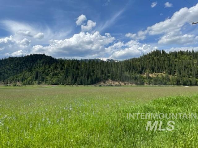 Mountain view featuring a heavily wooded area