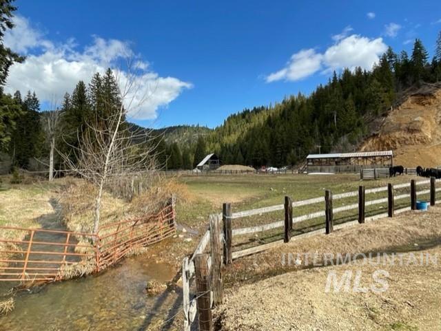 View of yard with a view of rural / pastoral area and a forest view
