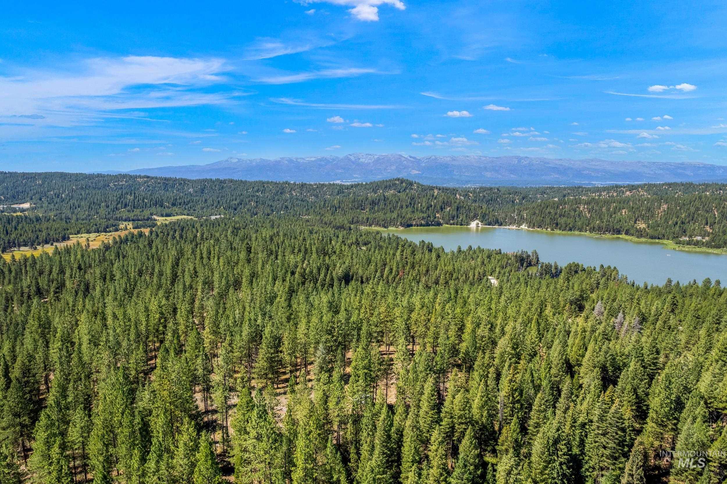 Aerial view of a water and mountain view