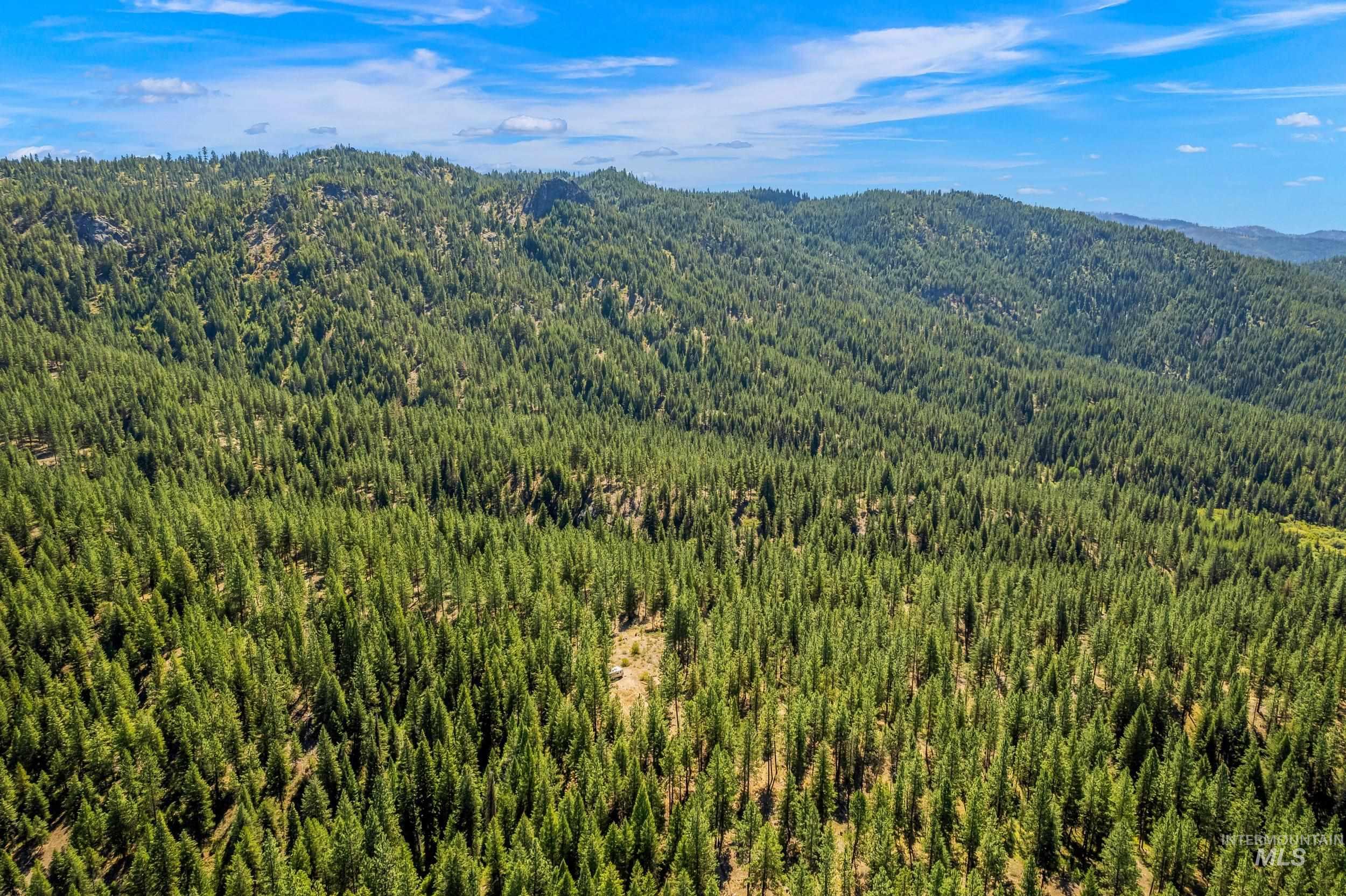 Aerial view of a mountainous background and a heavily wooded area