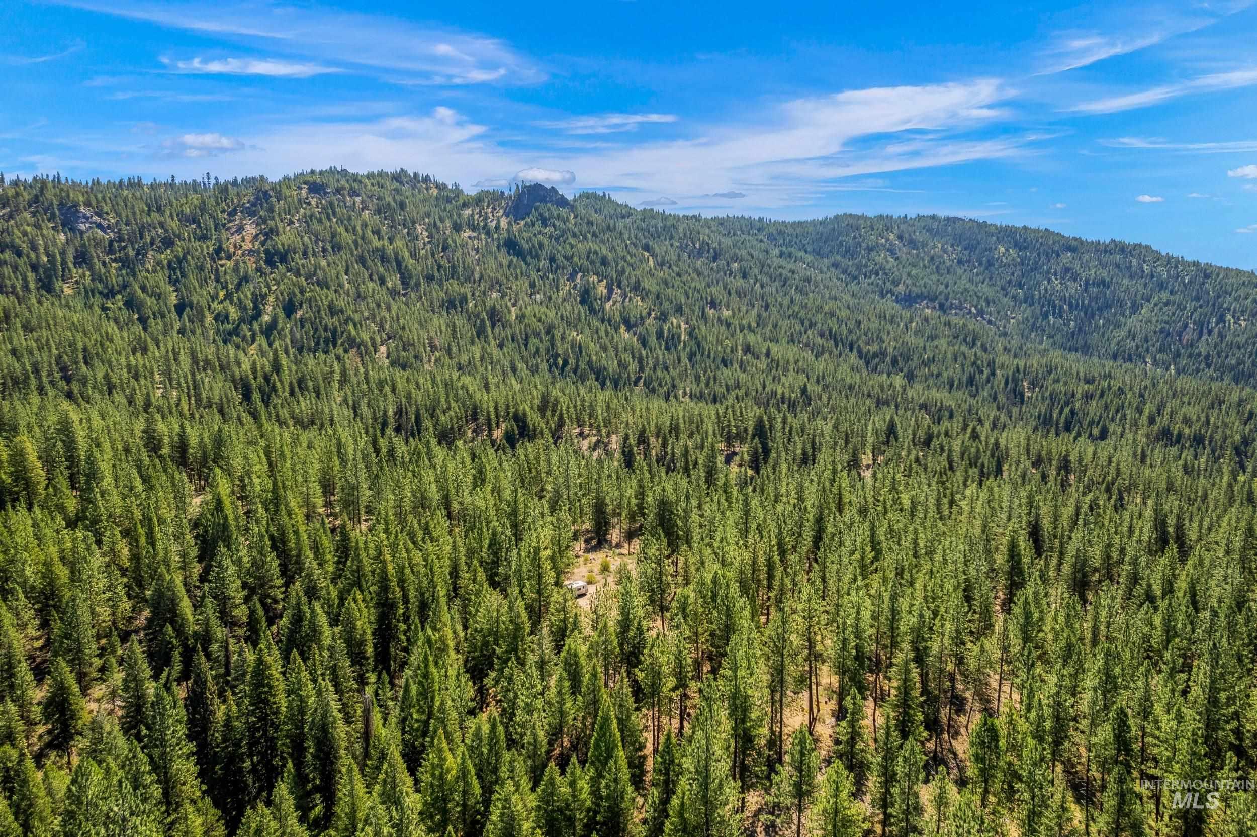 Mountain view featuring a heavily wooded area