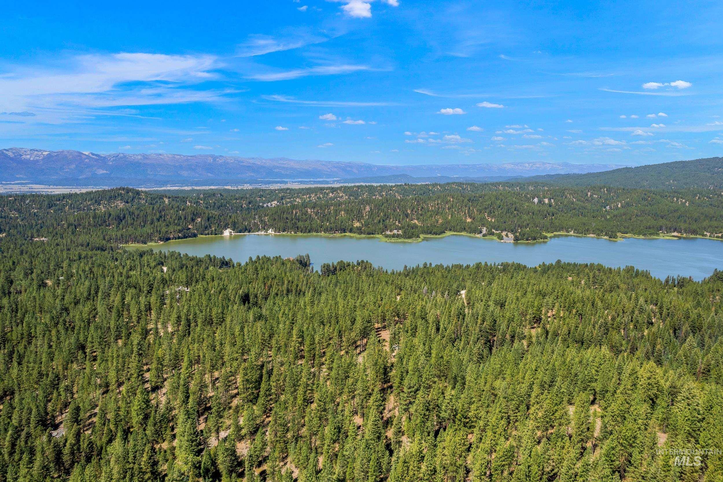 Bird's eye view of a forest and a water and mountain view