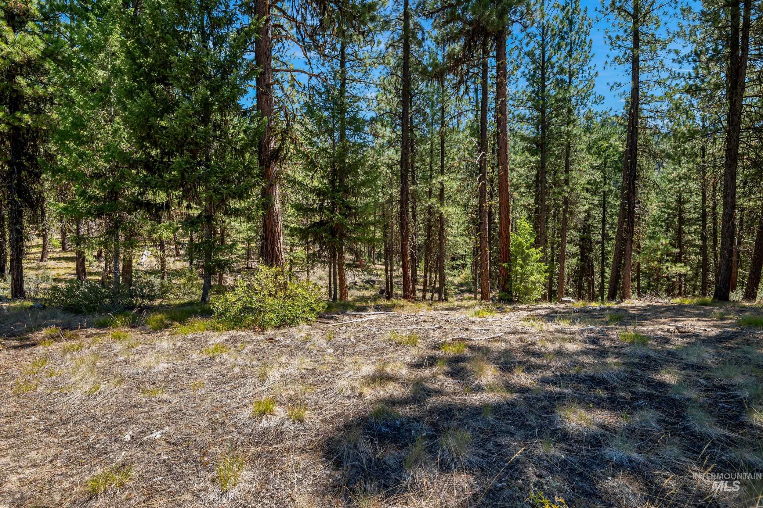 View of wooded area