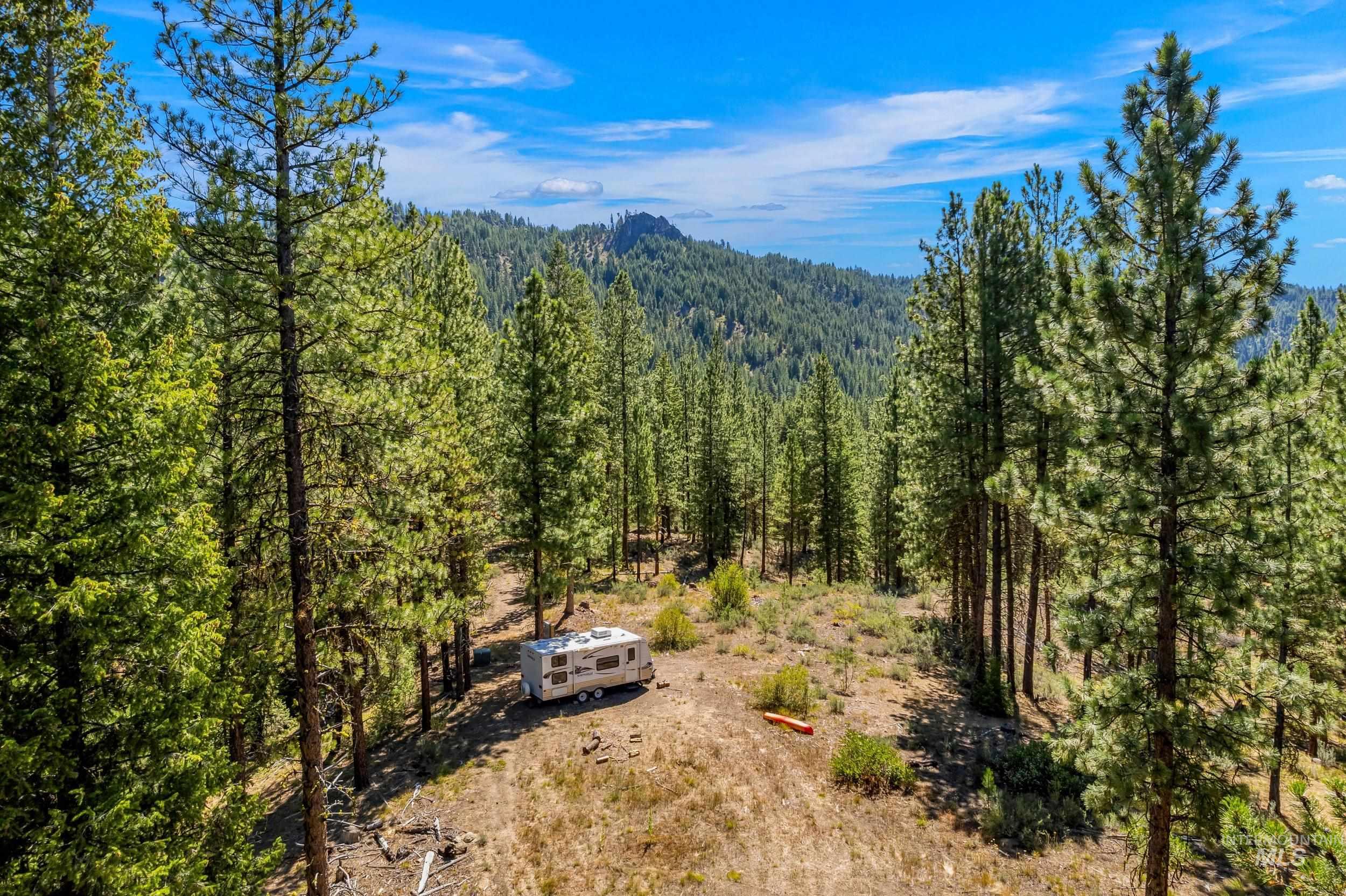 View of mountain background with a heavily wooded area