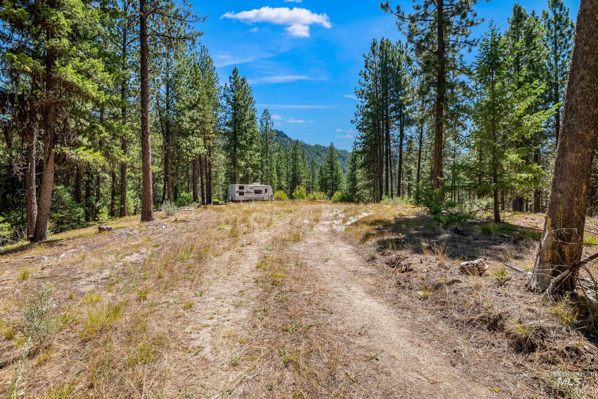 View of street with a wooded view