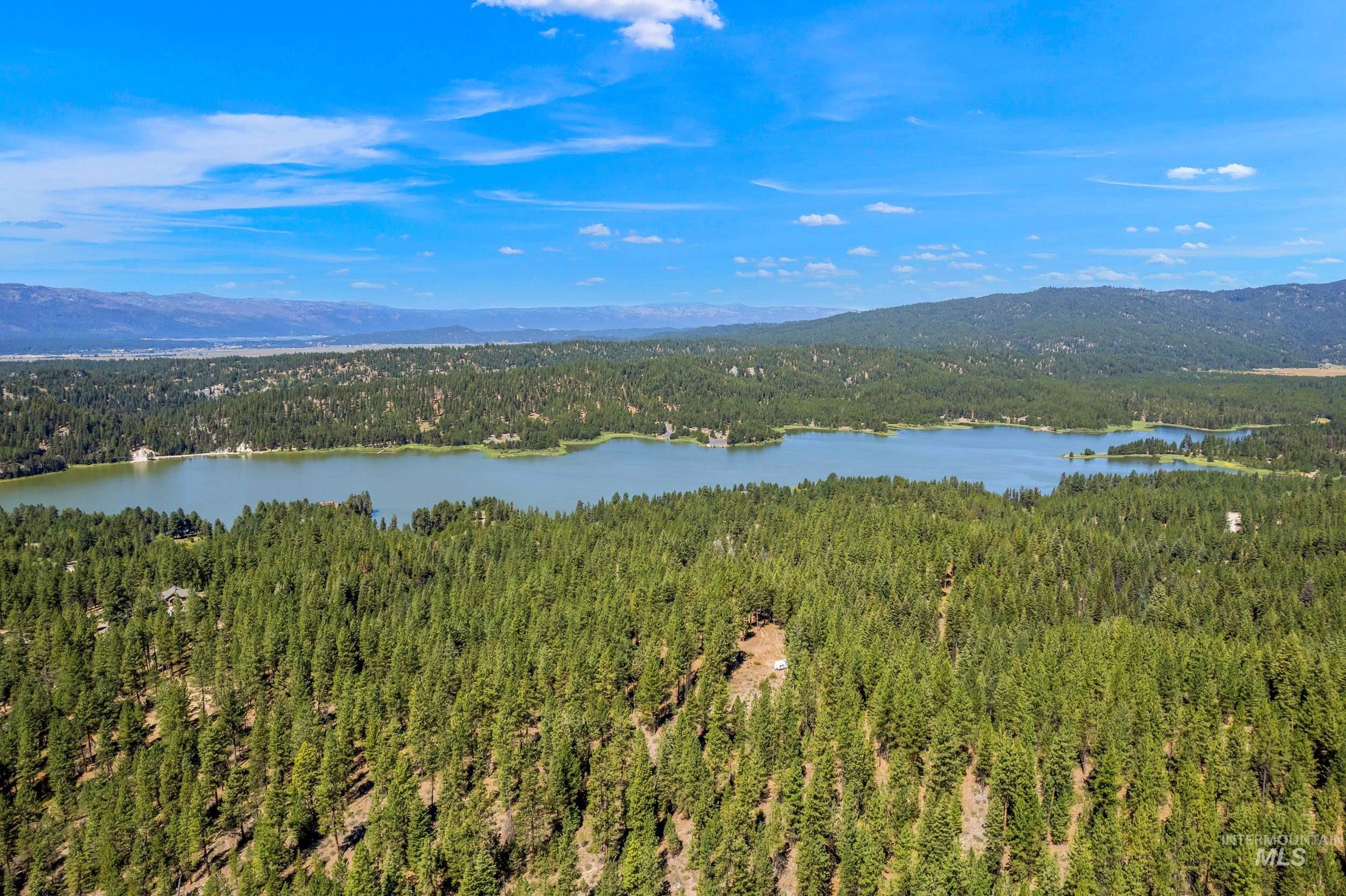 Bird's eye view of a forest and a water and mountain view