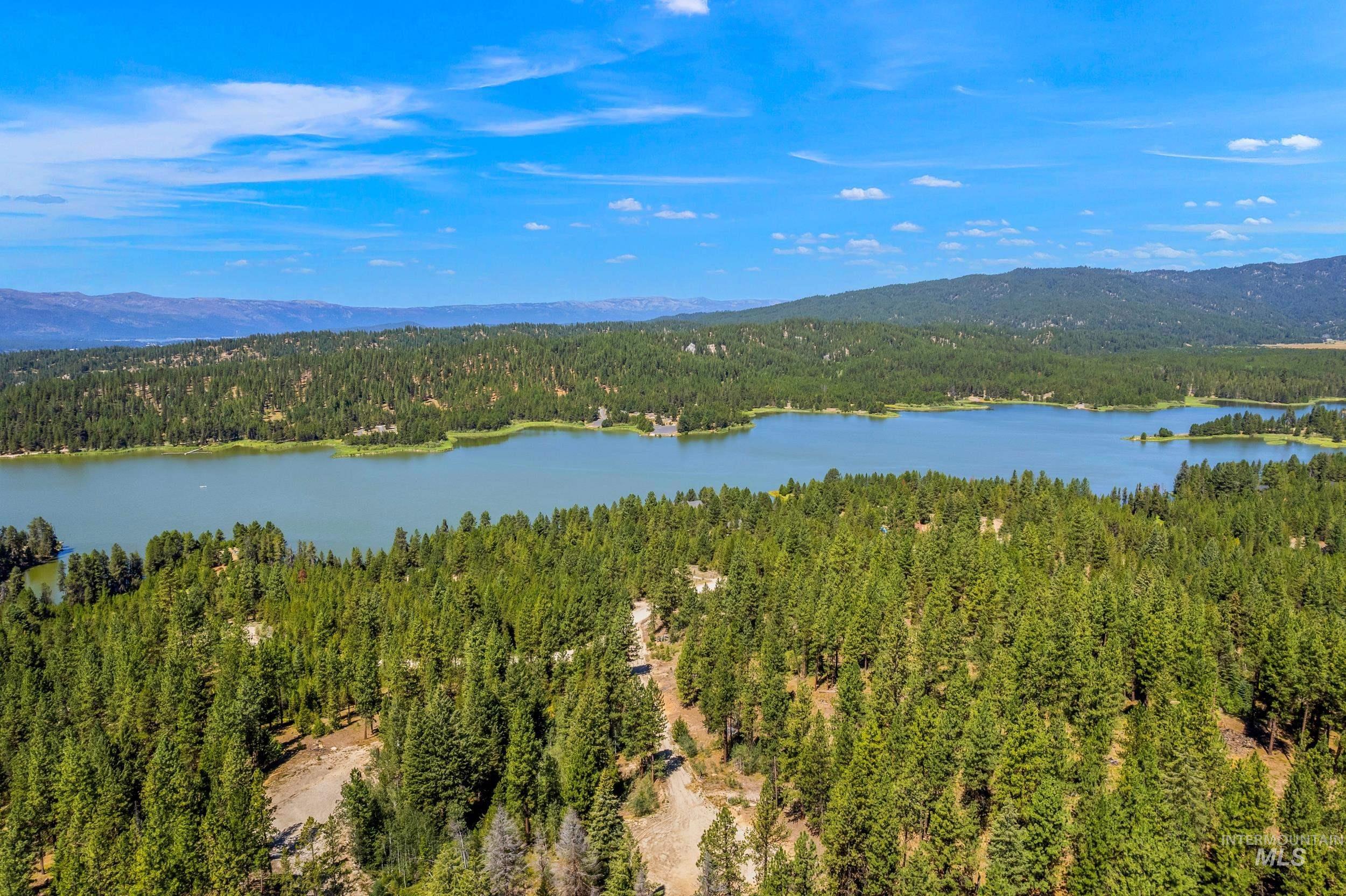 Aerial view of a heavily wooded area and a water and mountain view