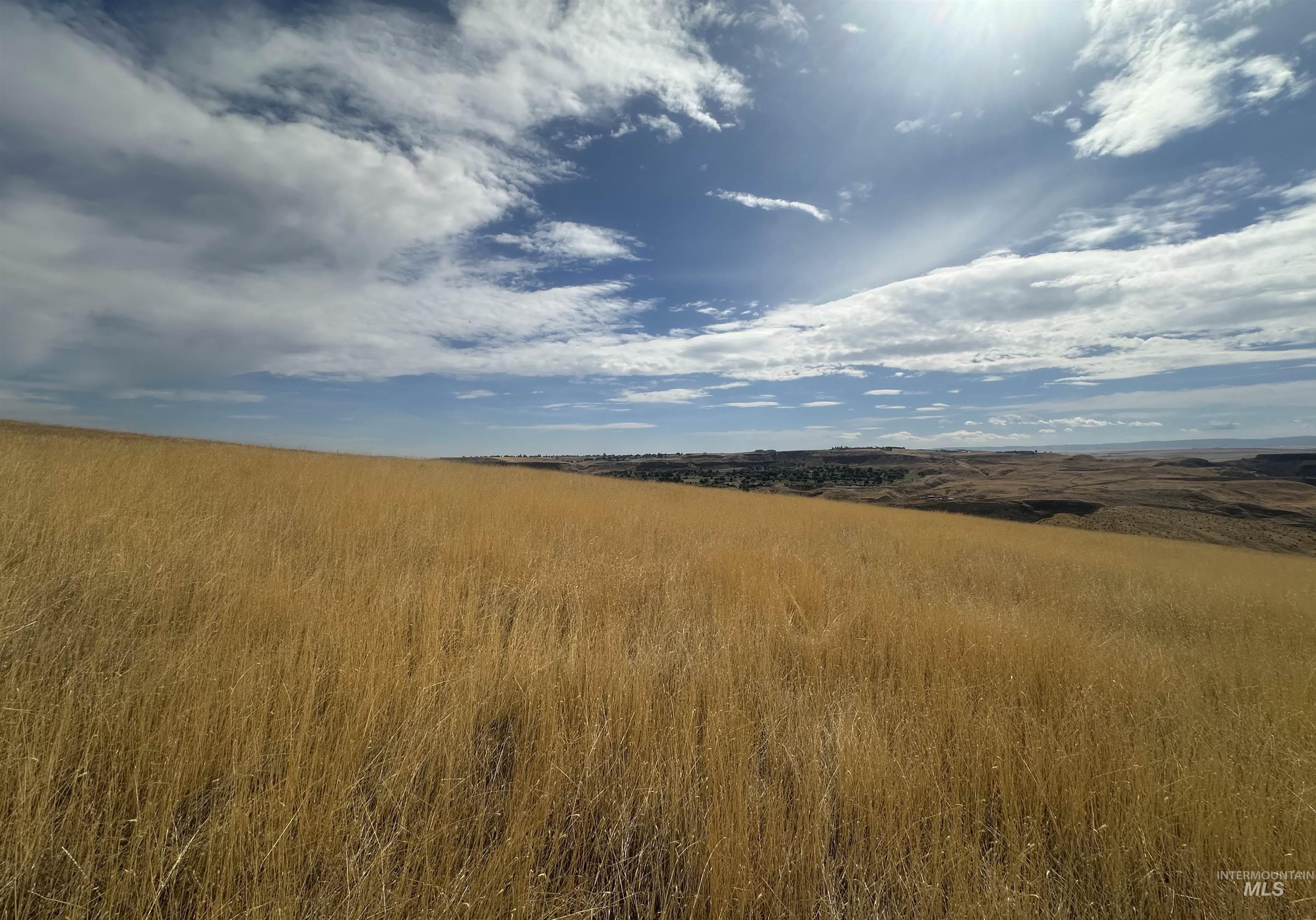 View of undeveloped land