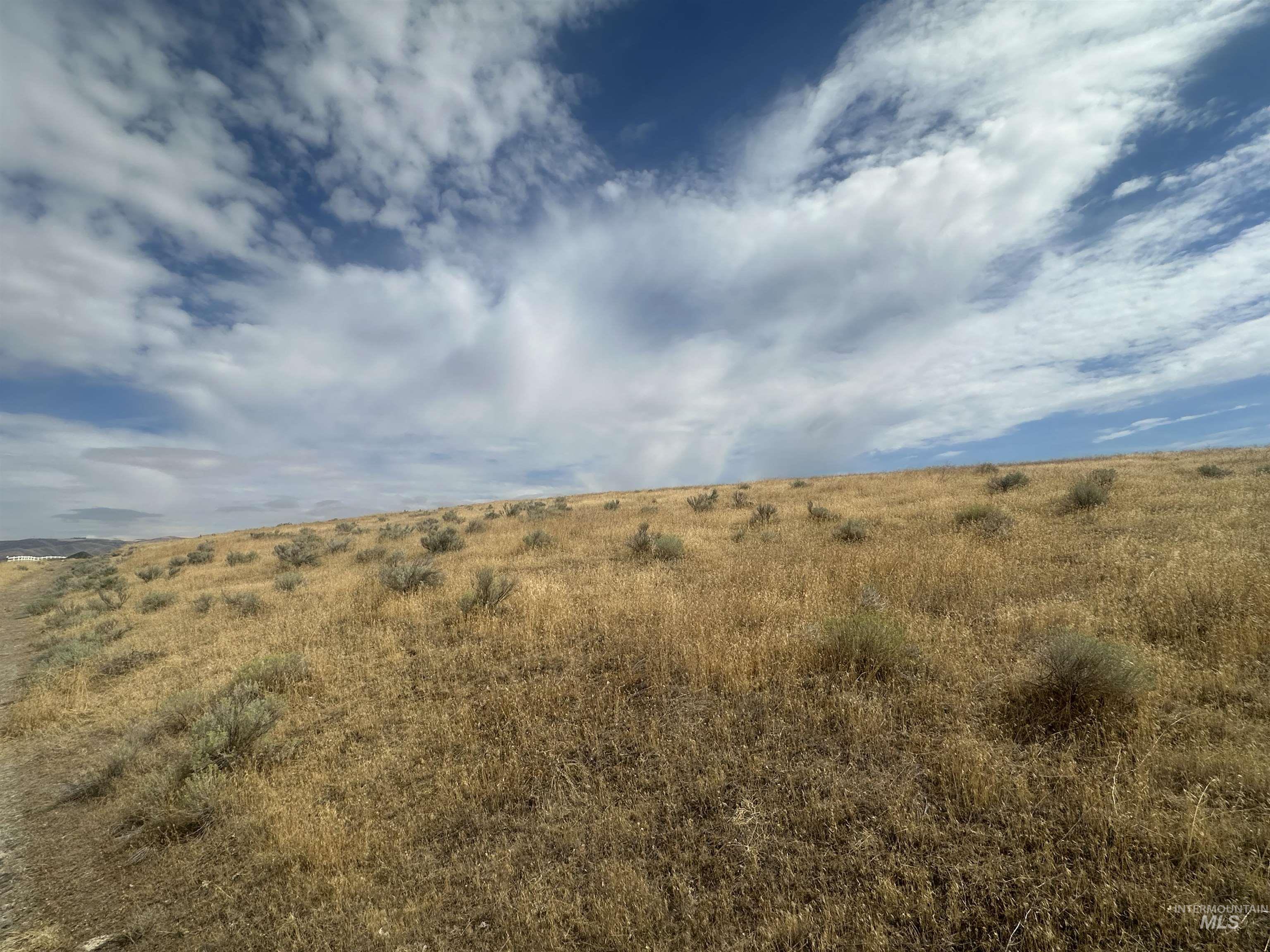 View of local wilderness featuring rural landscape