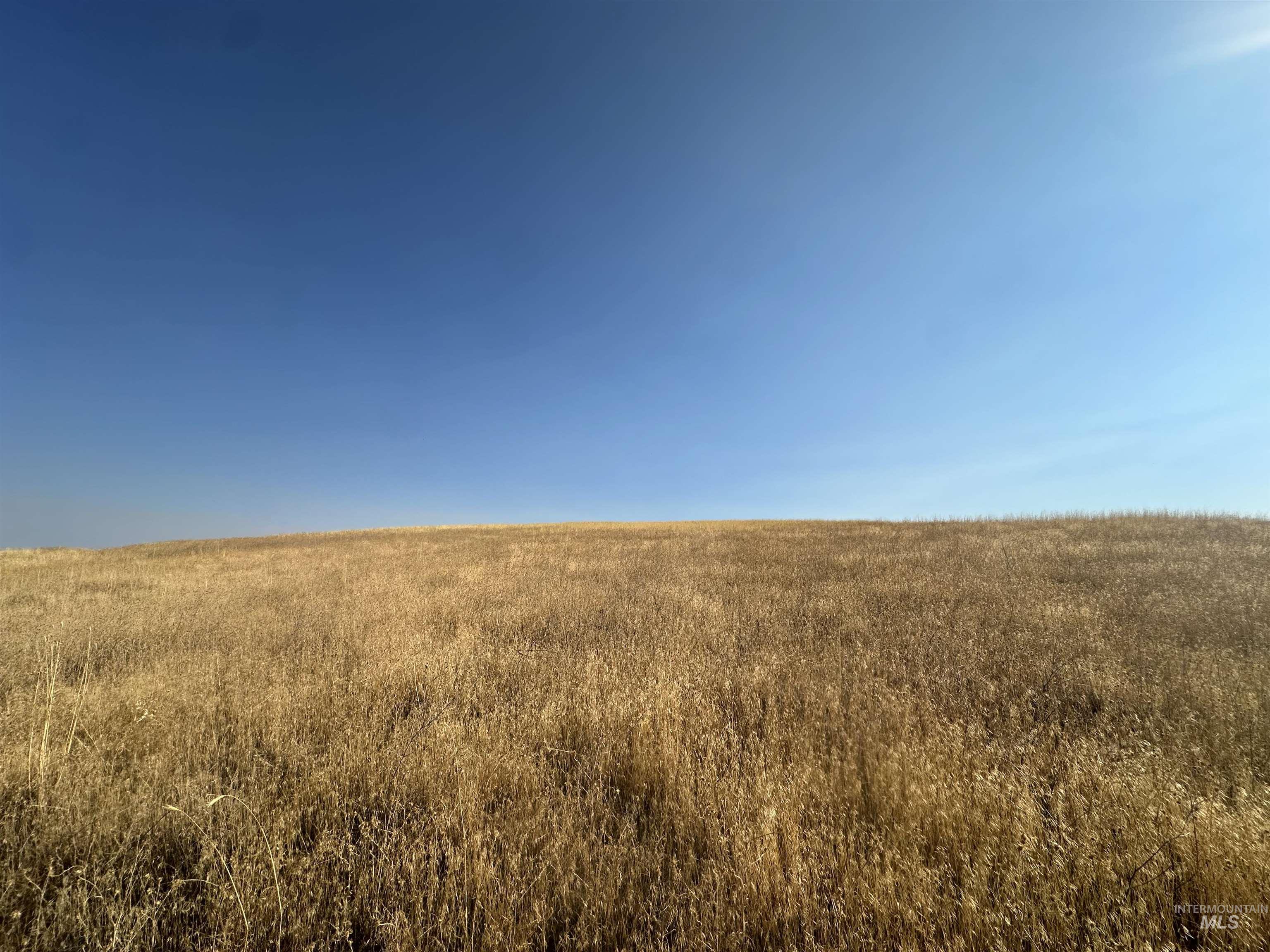 View of nature with rural landscape