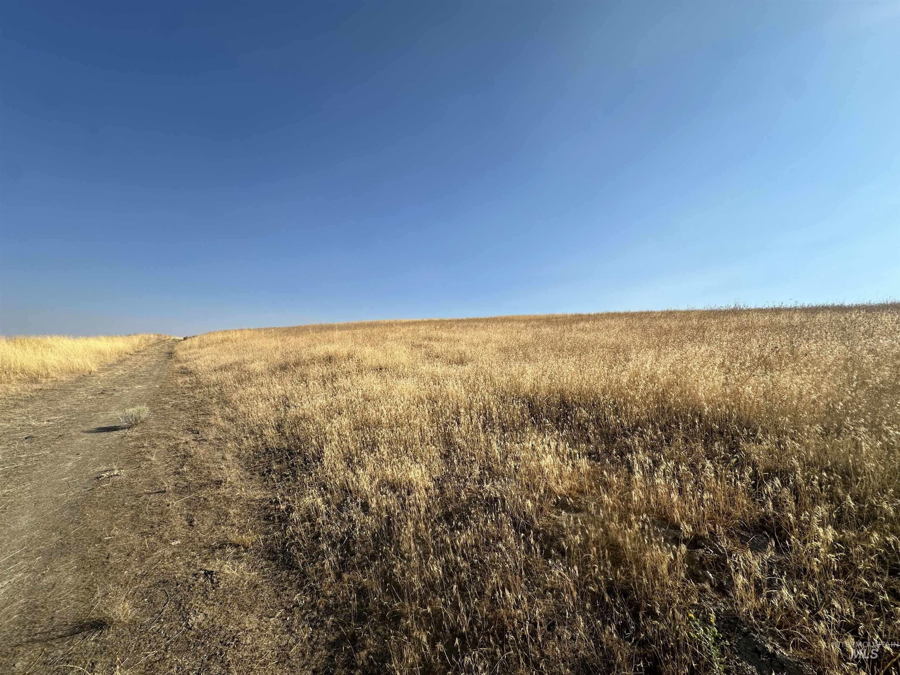 View of road with a view of rural / pastoral area