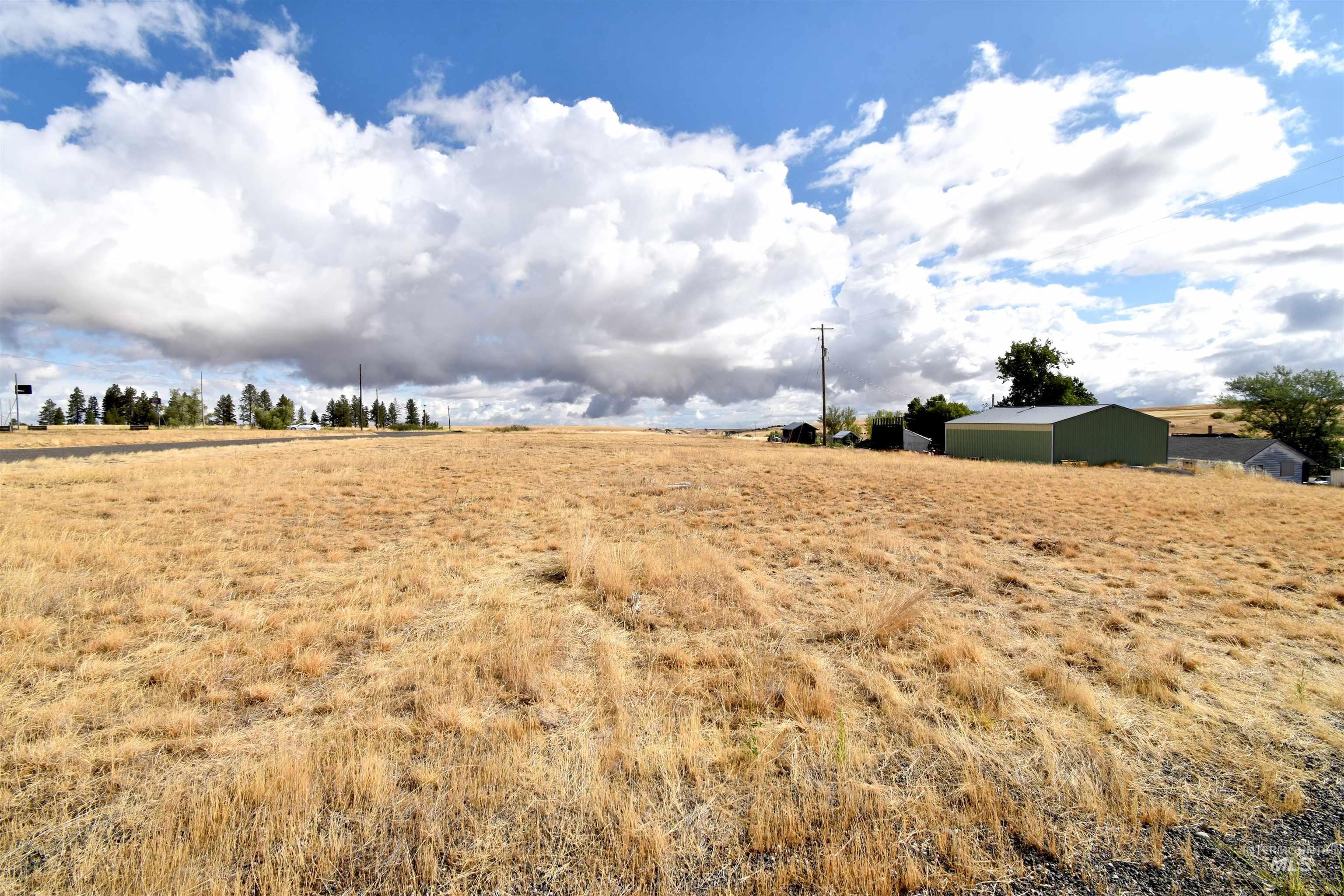 High St, Anatone, Washington 99401, Land For Sale, Price $70,000, 98958673