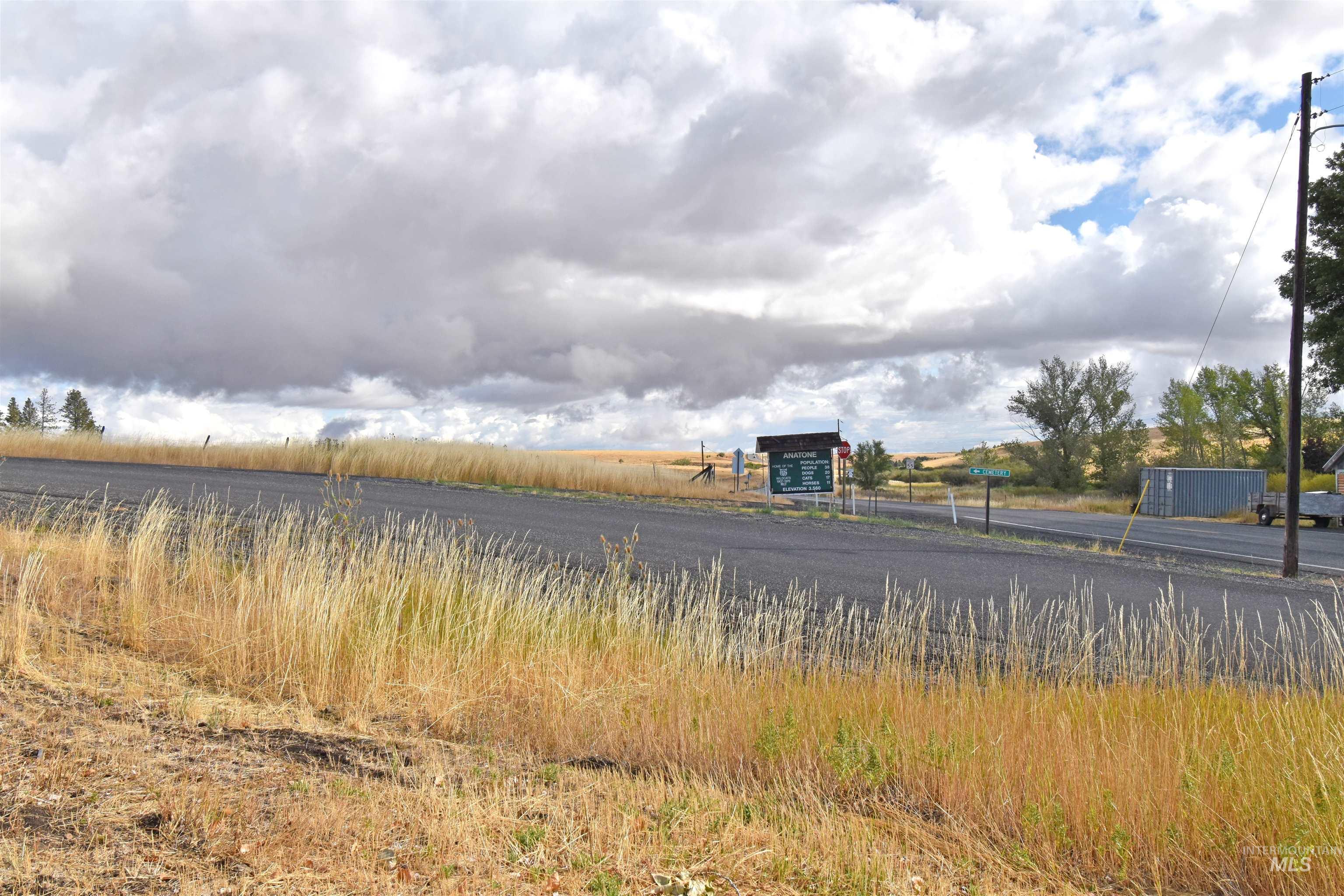 High St, Anatone, Washington 99401, Land For Sale, Price $70,000, 98958673