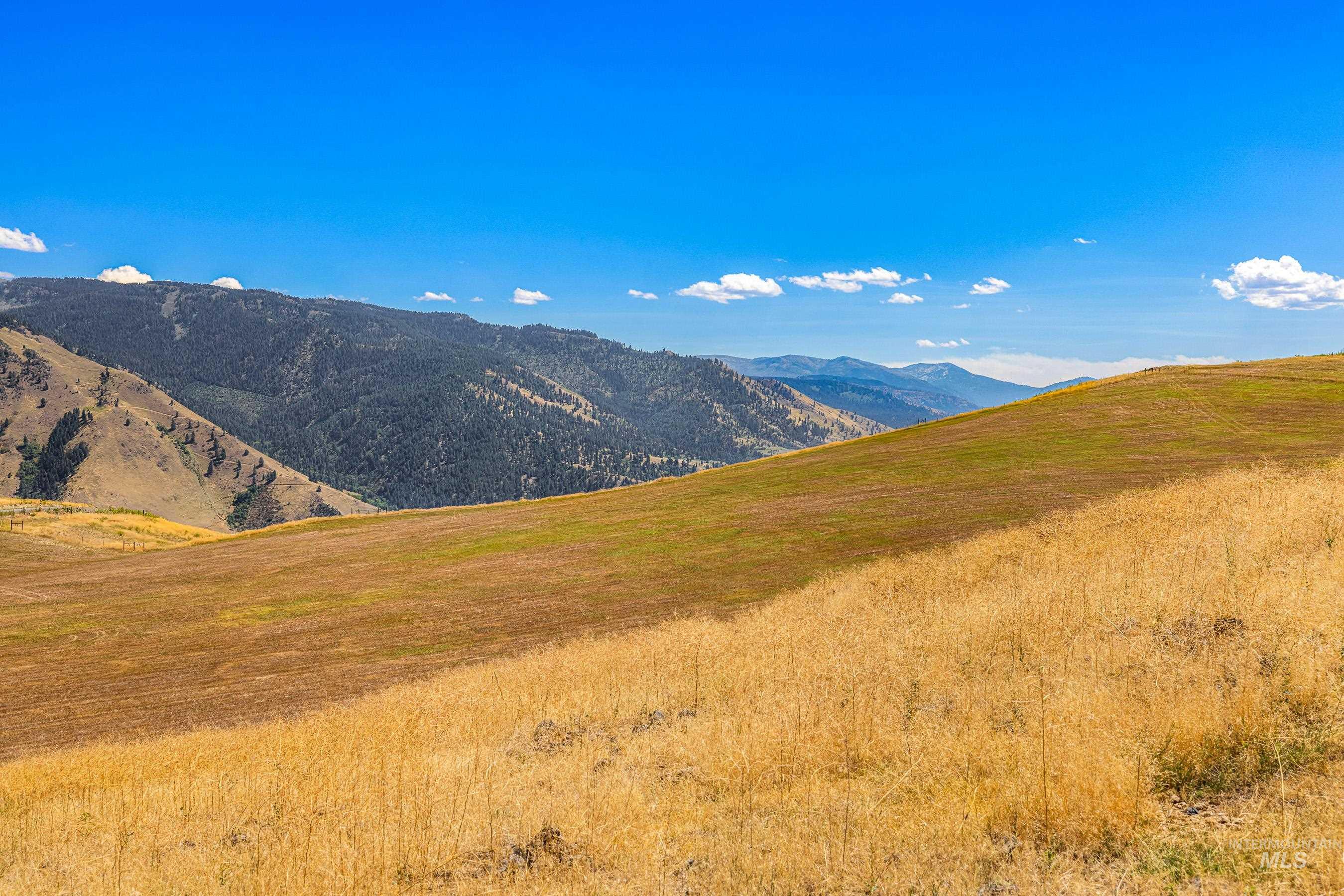 453 Elk Haven Circle, Pollock, Idaho 83547, Land For Sale, Price $540,000, 98958675