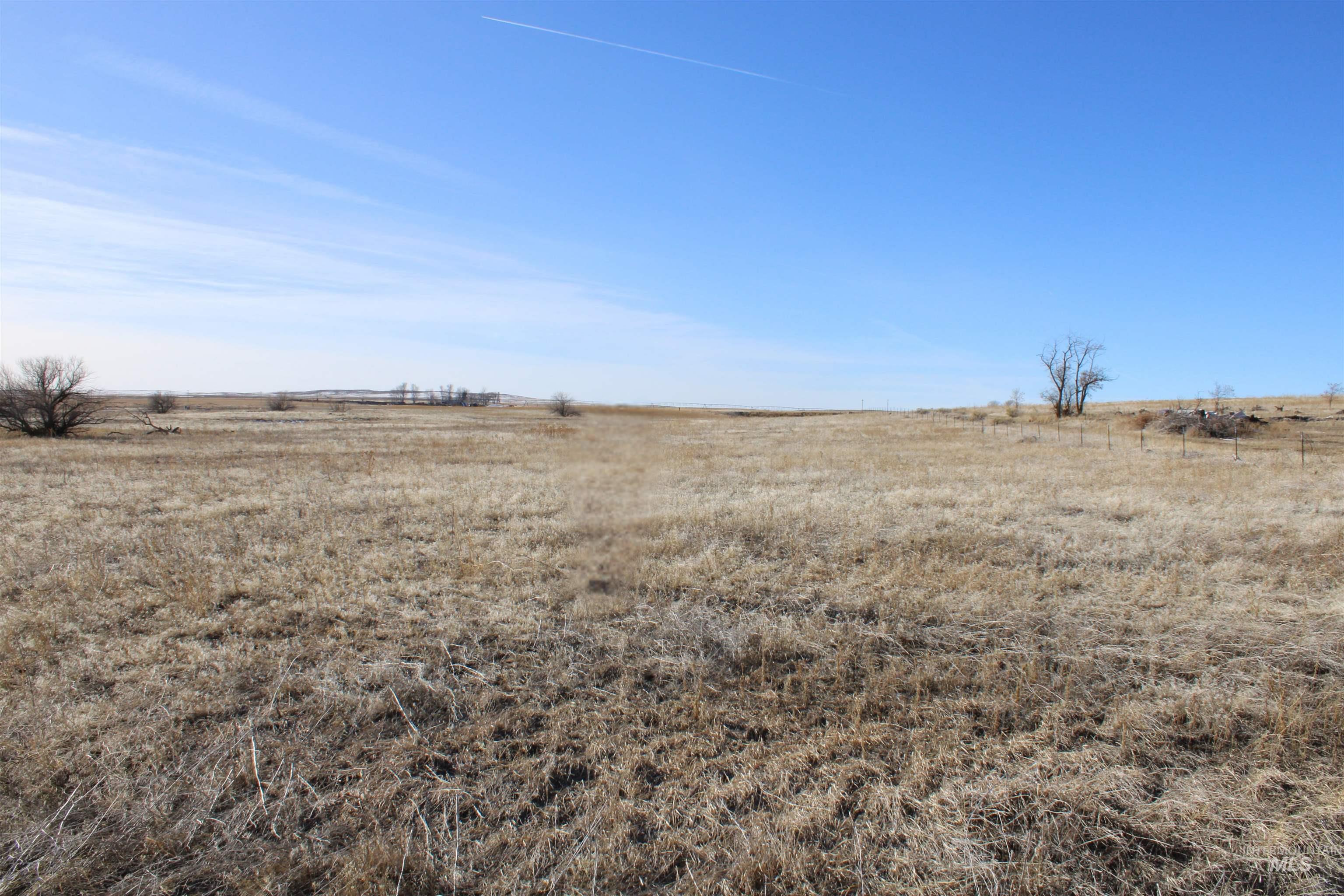 View of local wilderness with rural landscape