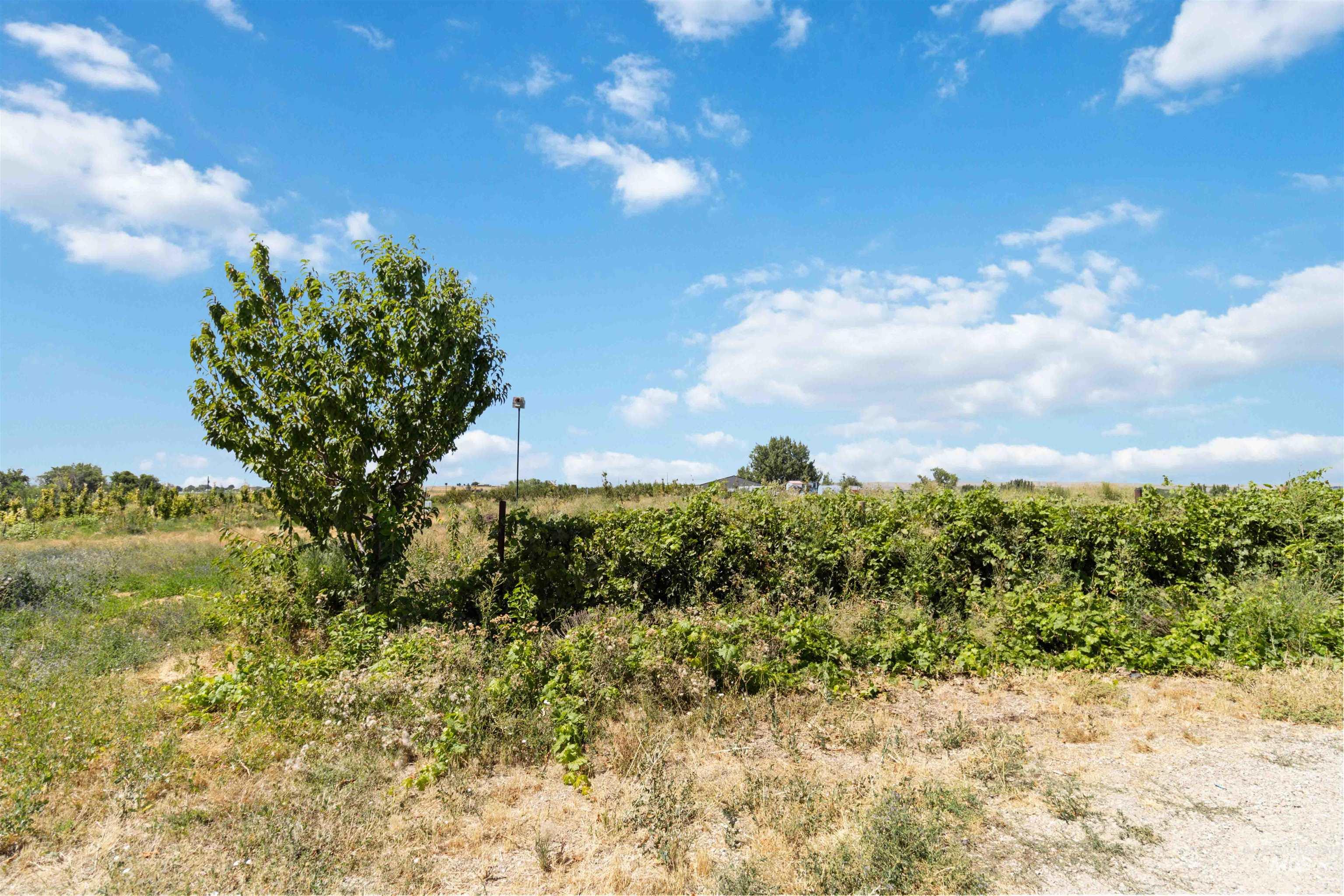 View of nature featuring rural landscape