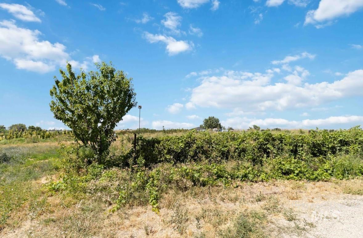 View of undeveloped land featuring rural landscape