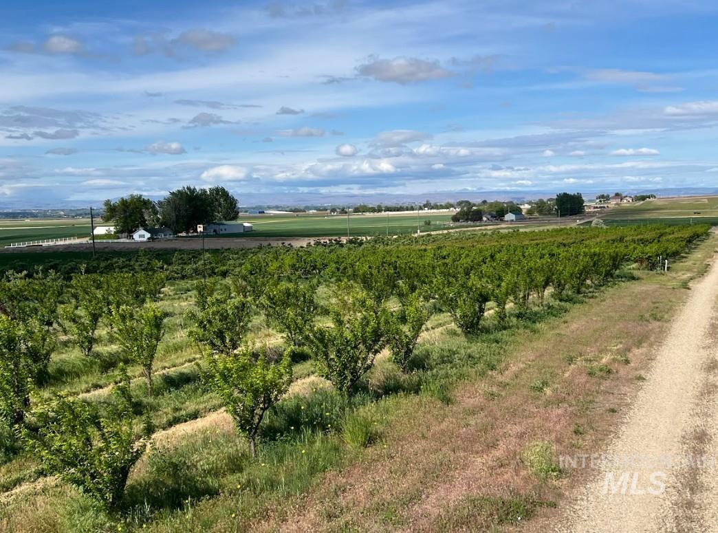 View of nature with rural landscape and large plots for crops
