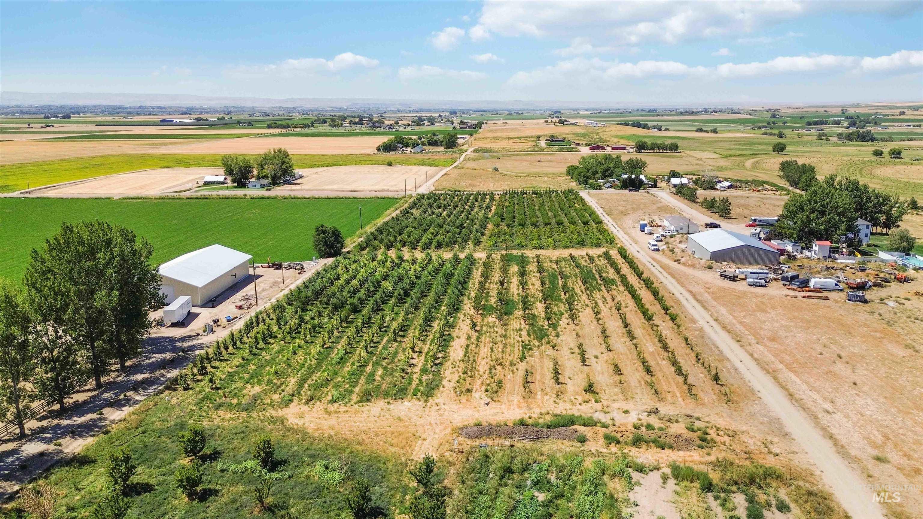 View of rural area with rows of crops