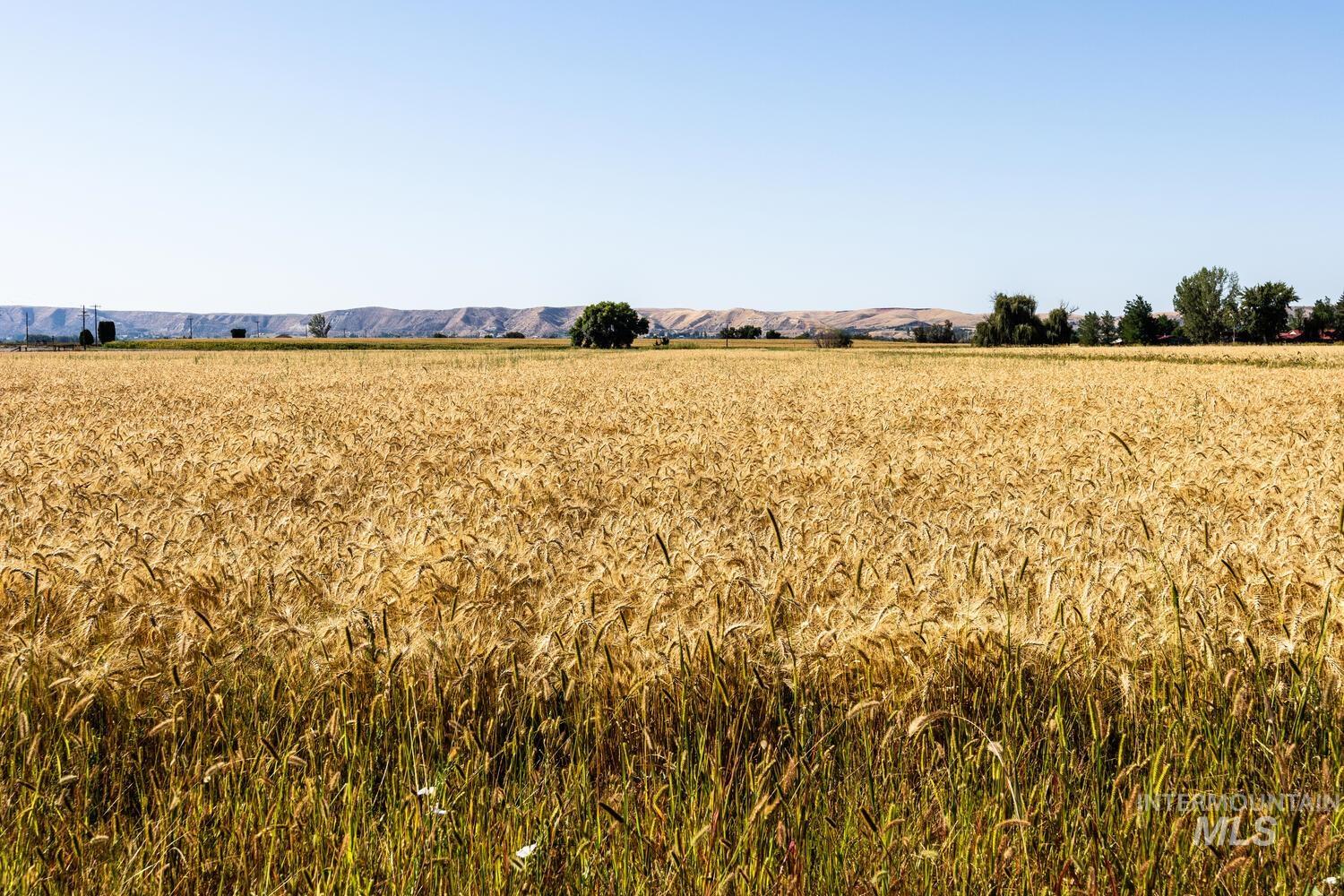 View of local wilderness with rural landscape, extensive farmland, and mountains