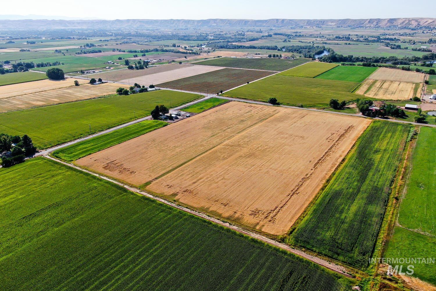Overview of rural landscape featuring rows of crops