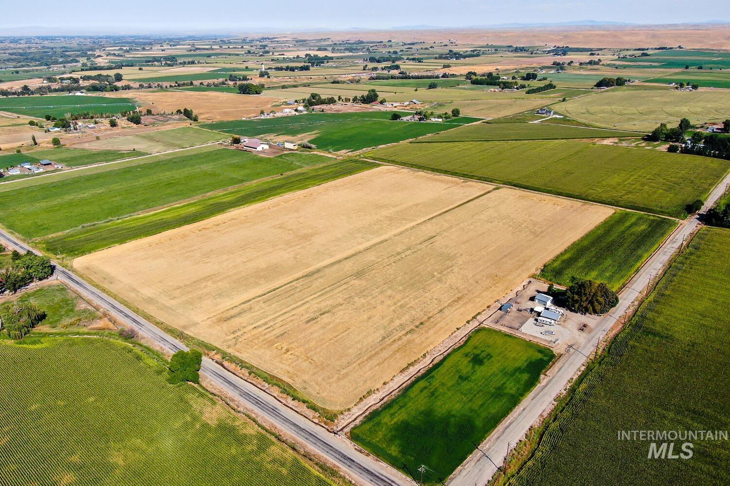View of rural area with rows of crops