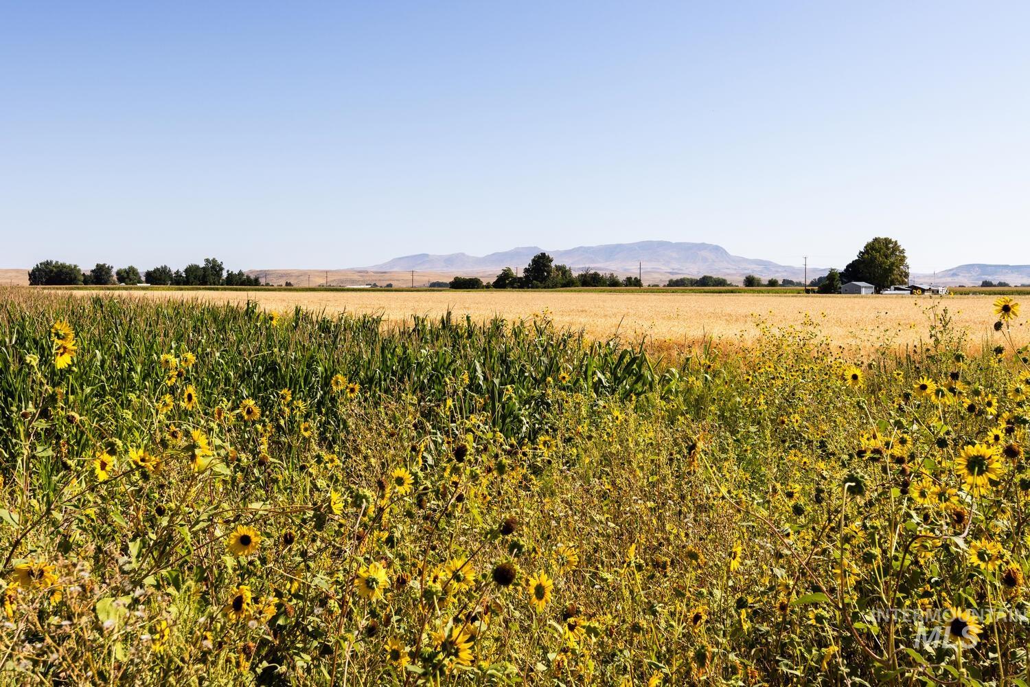 View of mountain backdrop featuring rural landscape
