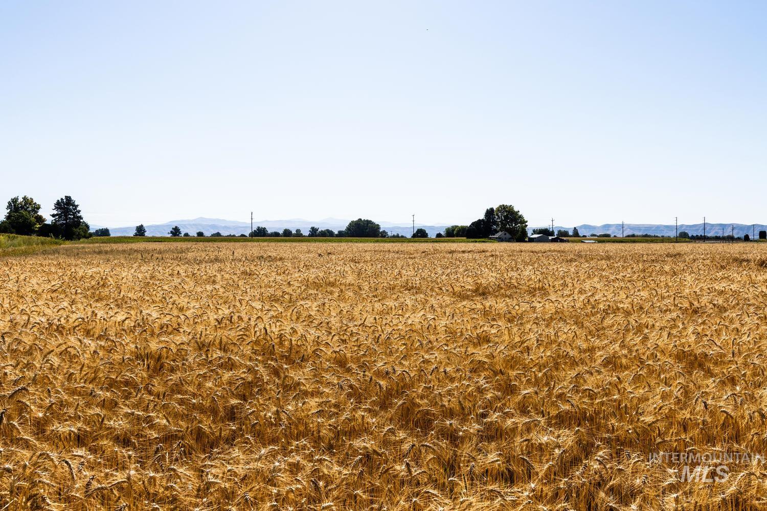 View of nature with rural landscape and large plots for crops