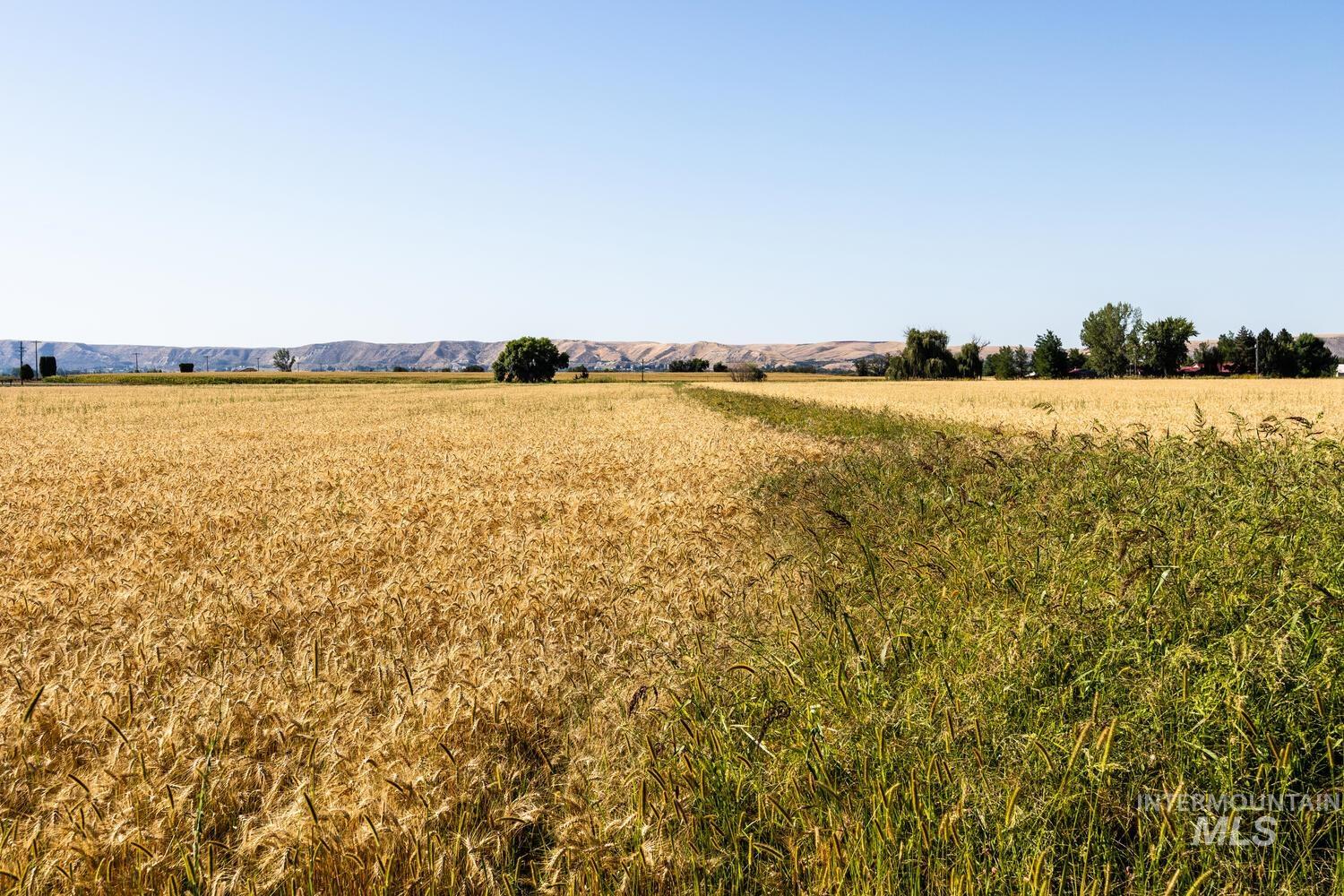 View of yard with a rural view and a mountain view