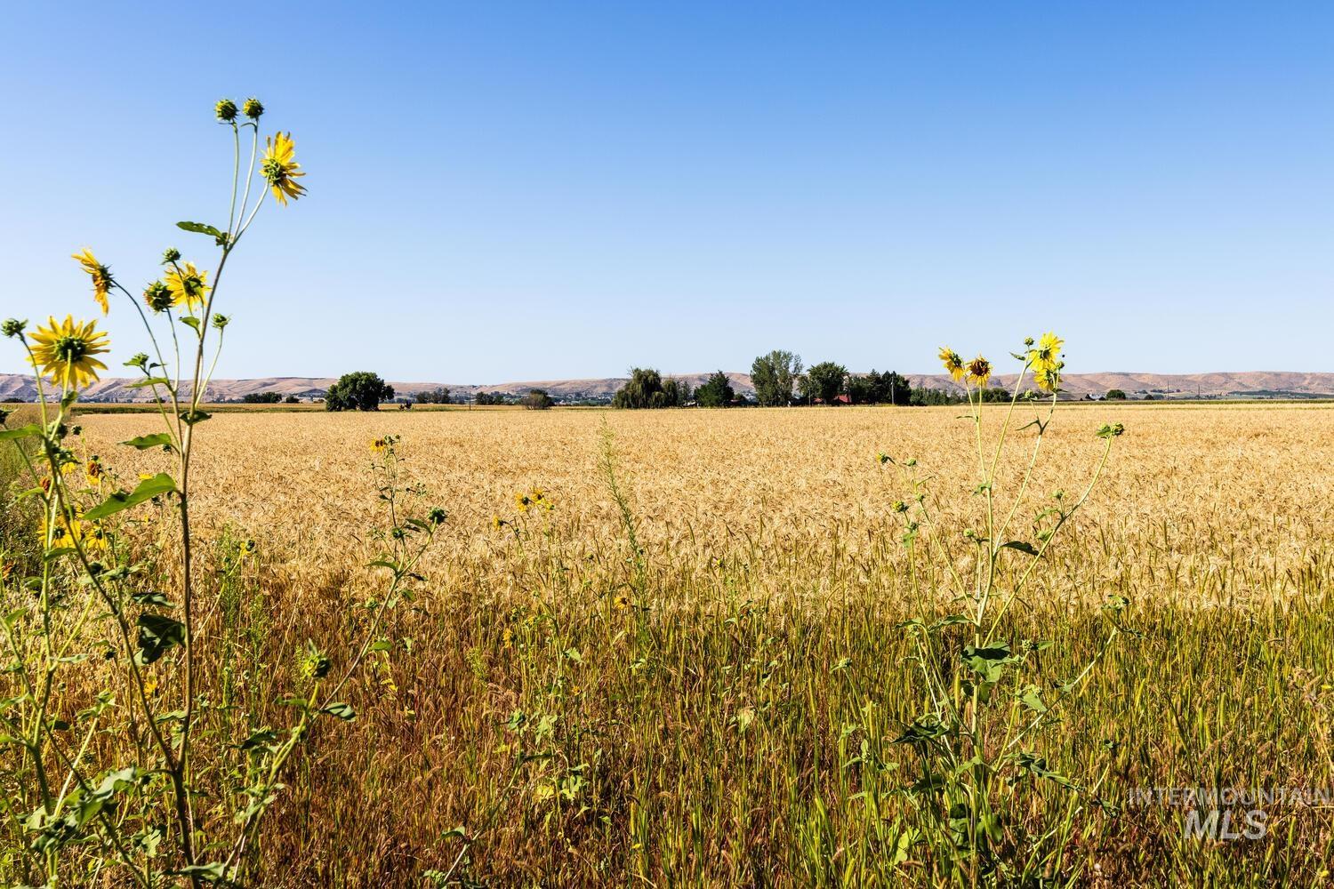 View of local wilderness with rural landscape