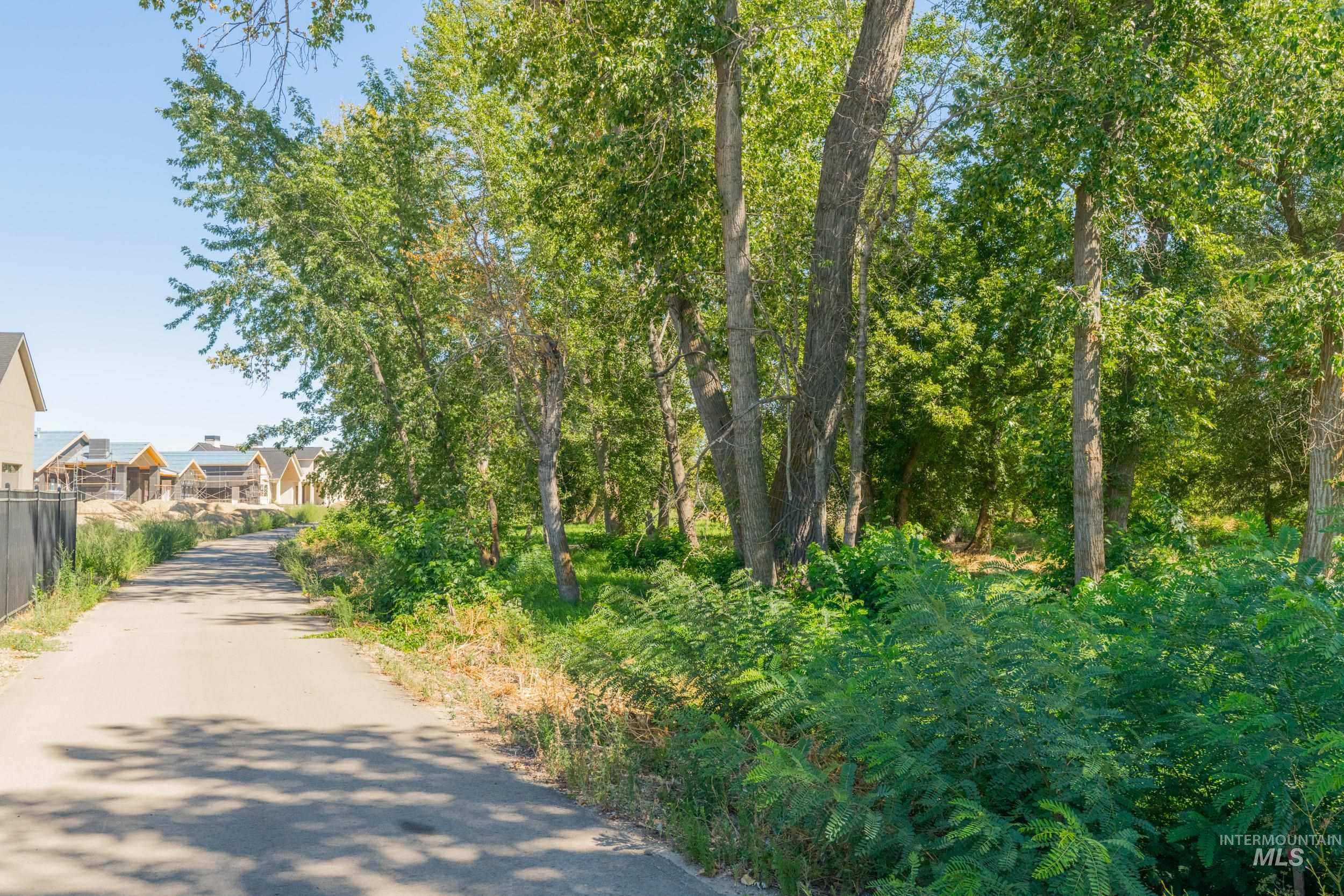 View of road