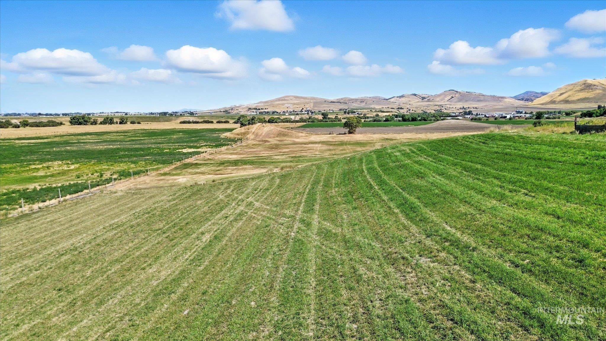 View of green lawn featuring a view of rural / pastoral area, a mountain view, and agricultural plots