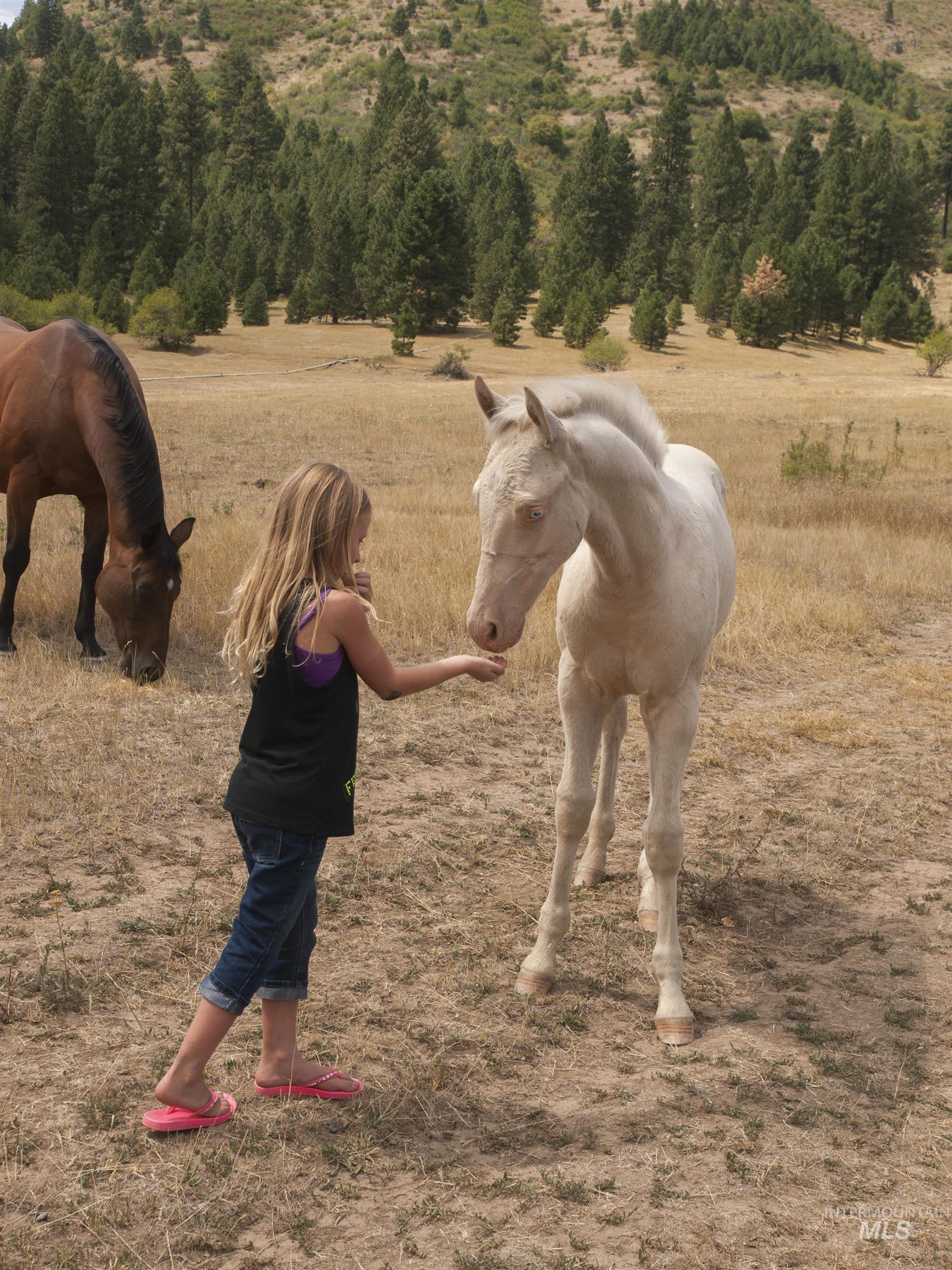 BLK 8 LOT 23 Wapiti Ct, Garden Valley, Idaho 83622, Land For Sale, Price $75,000, 98959120