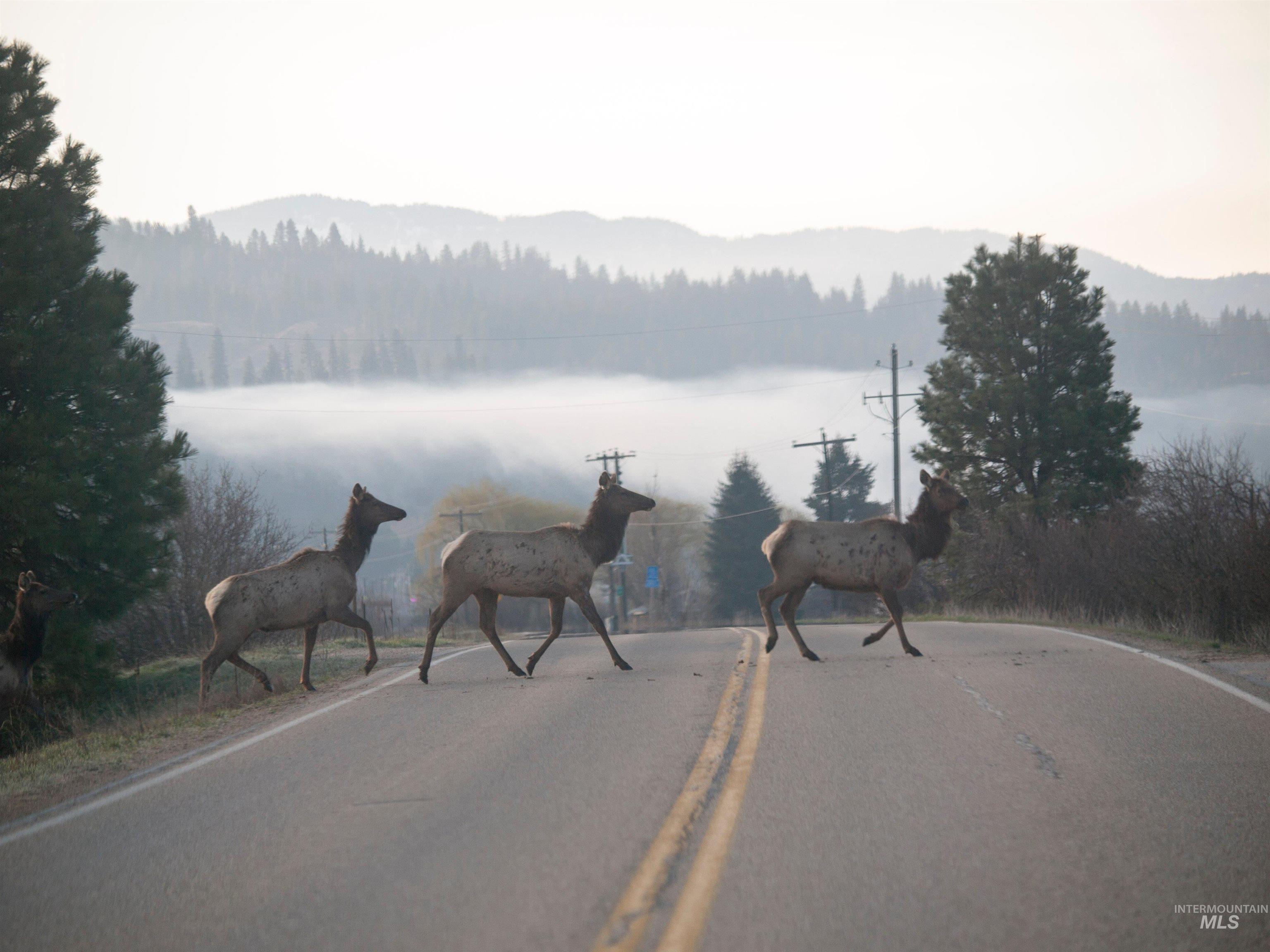 BLK 8 LOT 23 Wapiti Ct, Garden Valley, Idaho 83622, Land For Sale, Price $75,000, 98959120