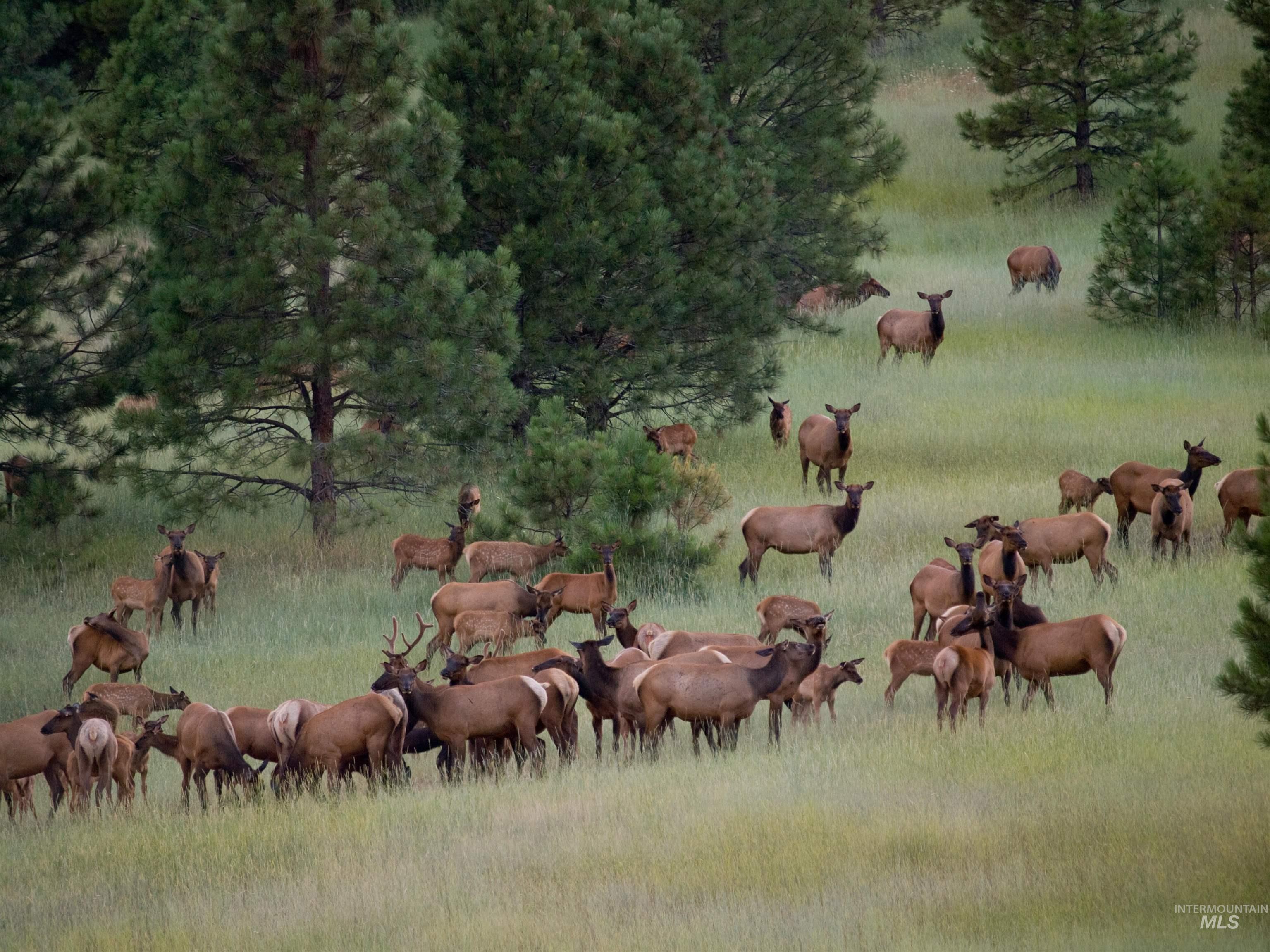 BLK 8 LOT 23 Wapiti Ct, Garden Valley, Idaho 83622, Land For Sale, Price $75,000, 98959120