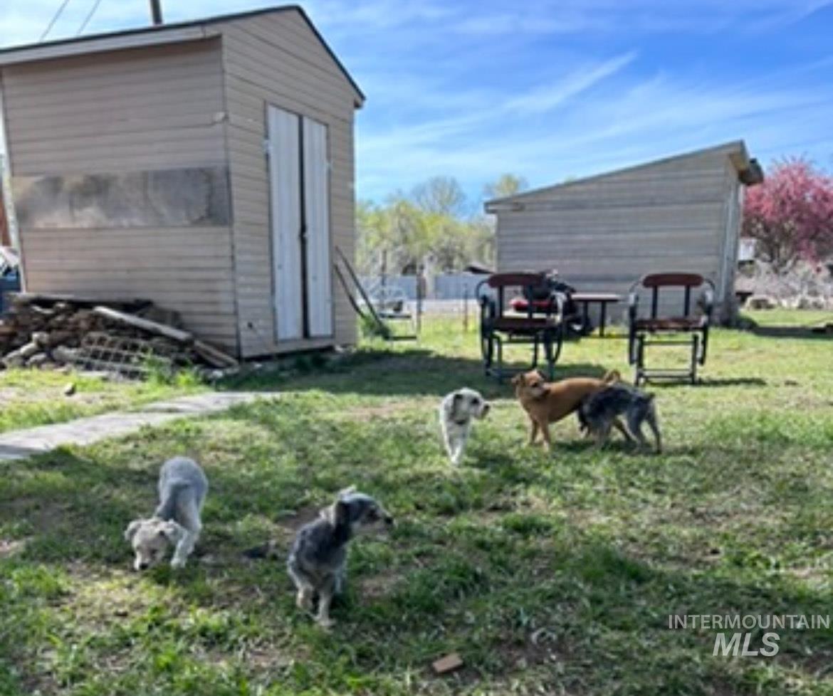 View of grassy yard with a storage shed