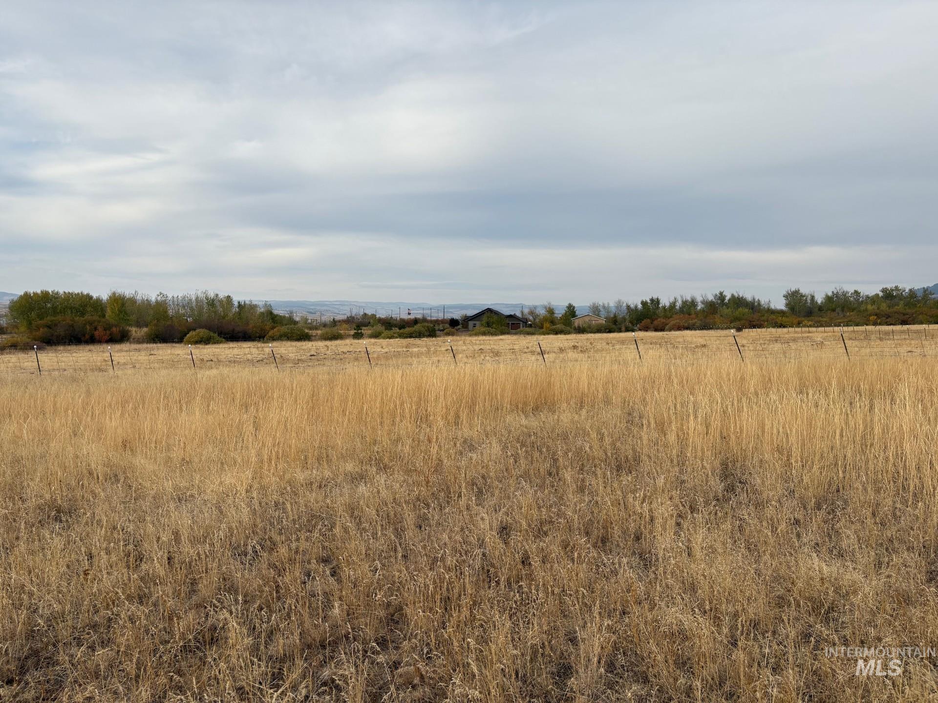 View of local wilderness featuring rural landscape
