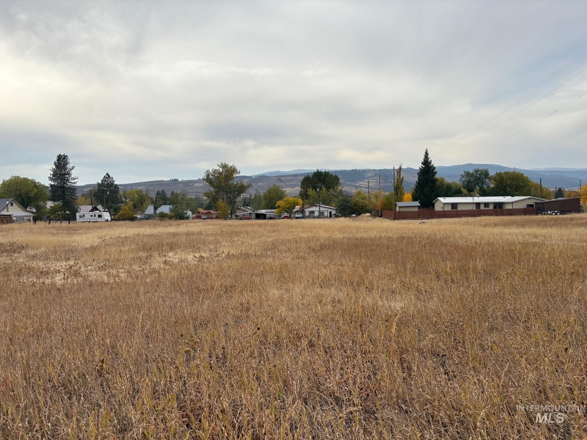 View of yard with a view of rural / pastoral area and a mountain view